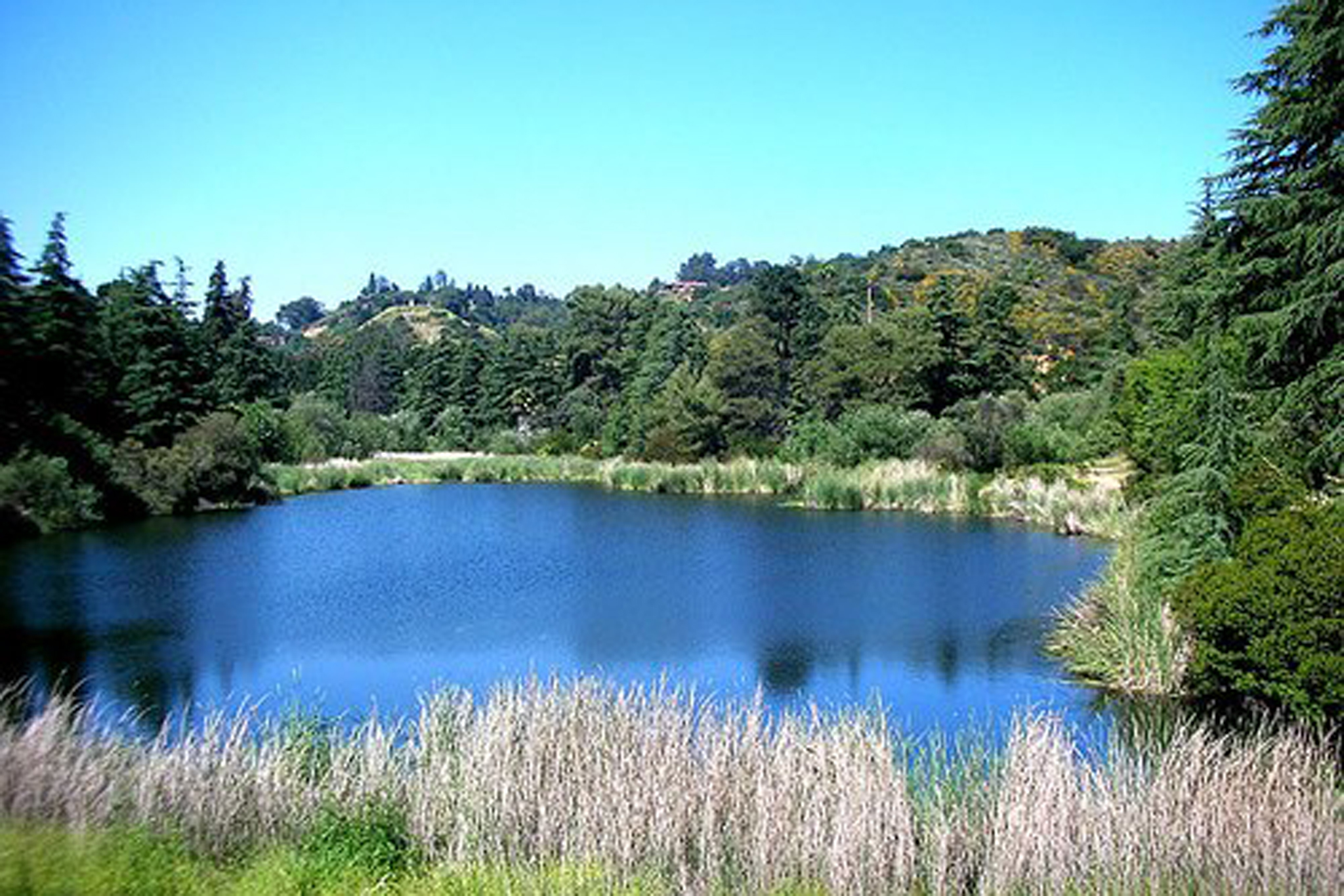 Franklin Canyon Park Things to do in Westside, Los Angeles