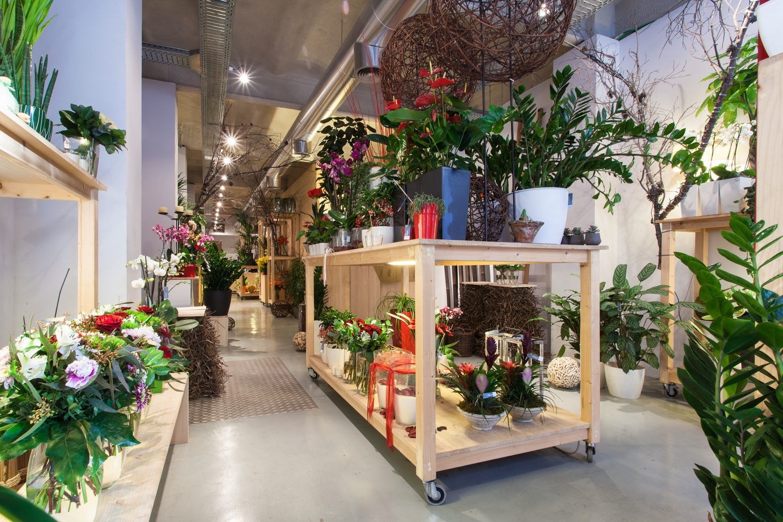 Florists in Barcelona Shopping & Style Time Out Barcelona