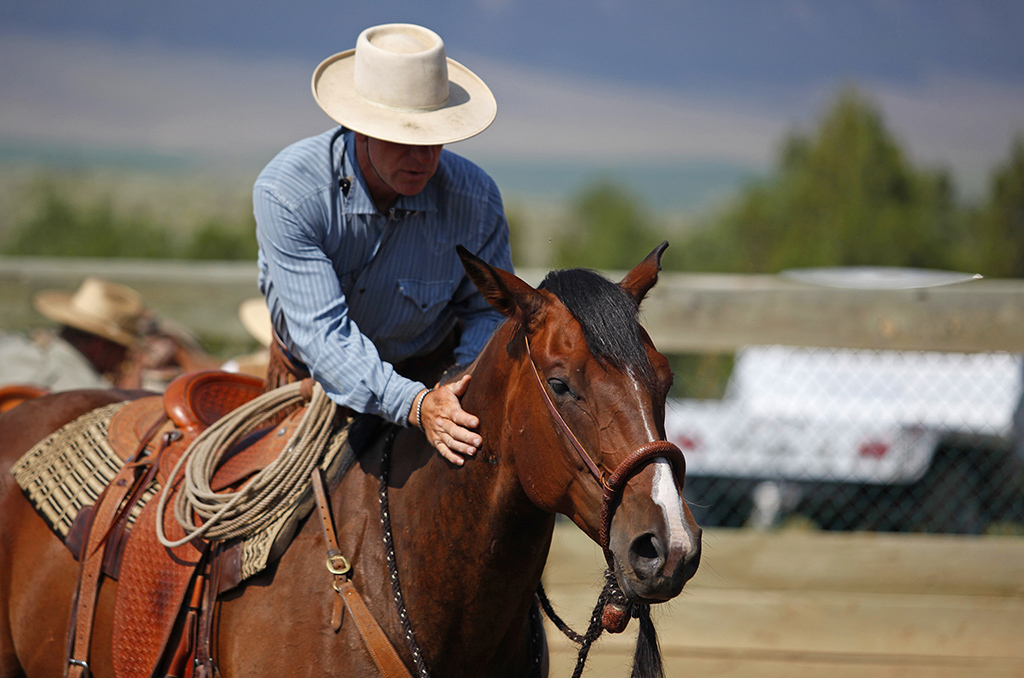 Storyville Buck the Real Horse Whisperer review Time Out London