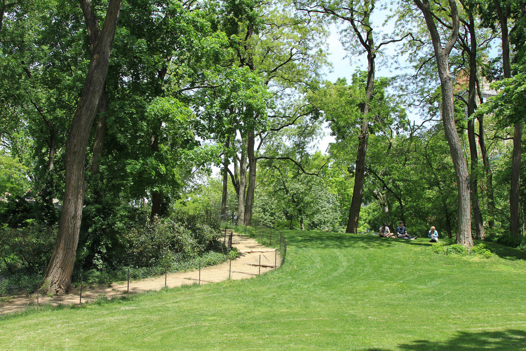 Best picnic spots in Central Park for a picturesque, outdoor meal