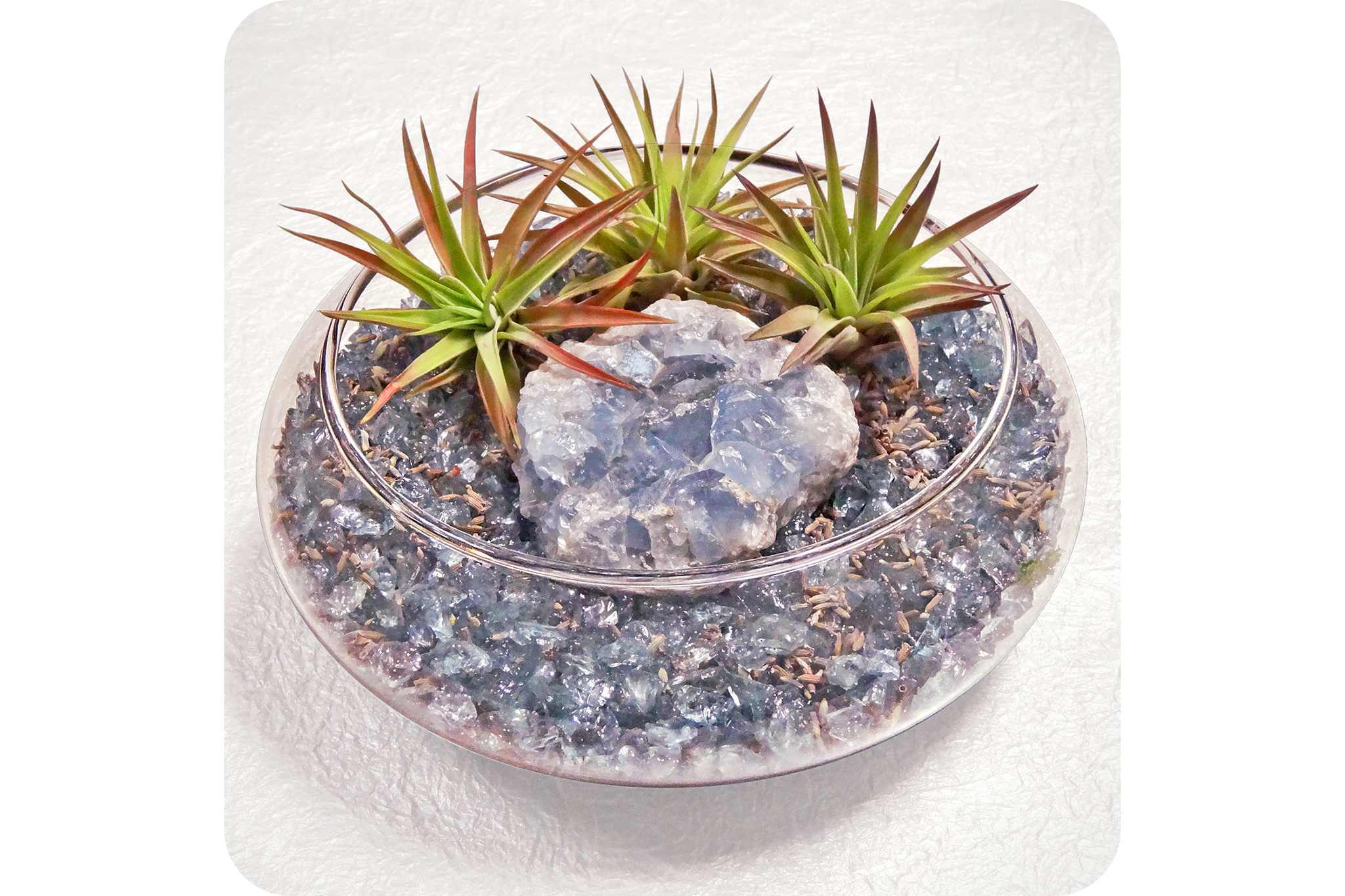 Luludi Living Art Shopping in Astoria, New York