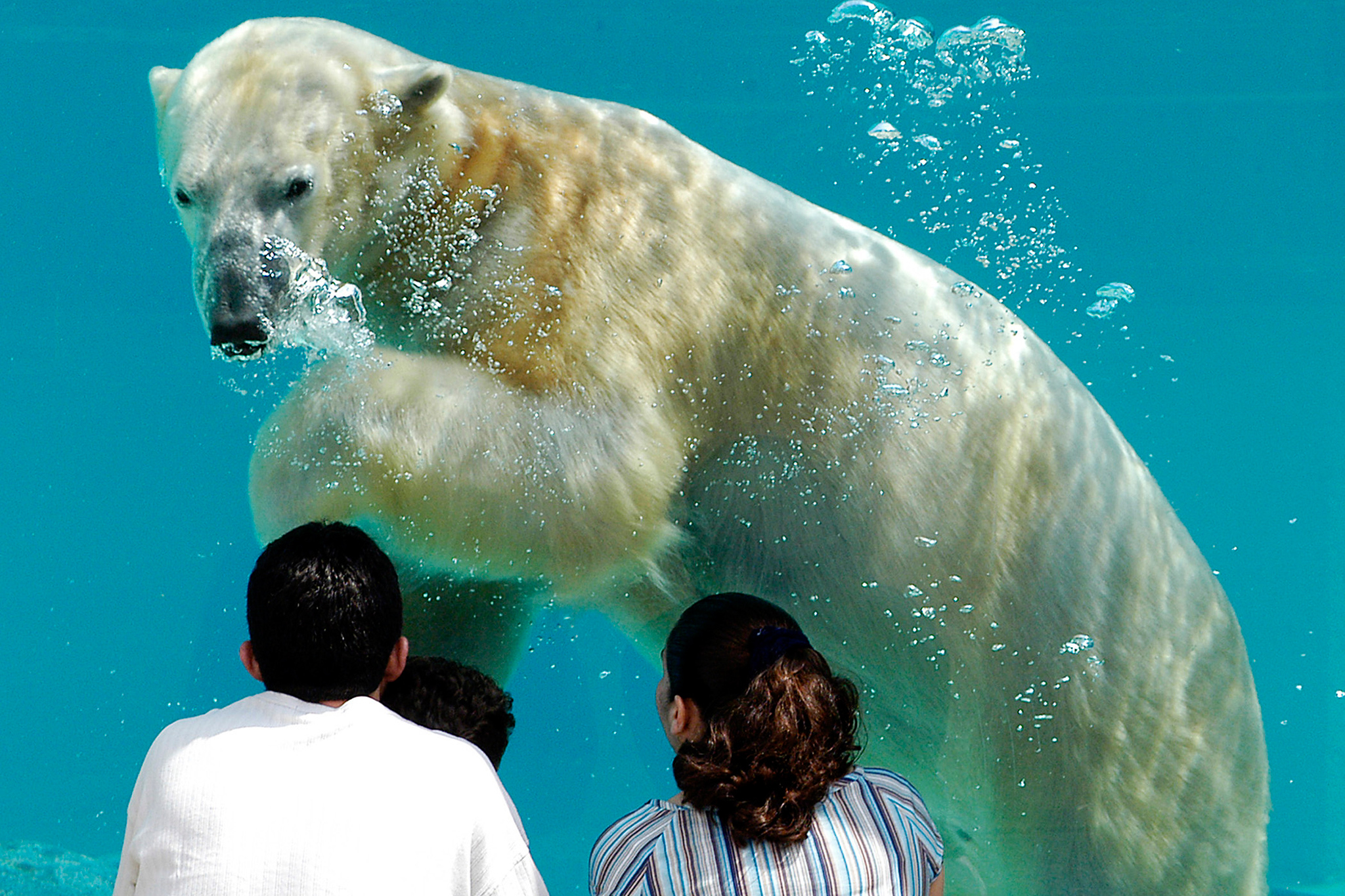 Take a Look at the 25 Best Chicago Attractions