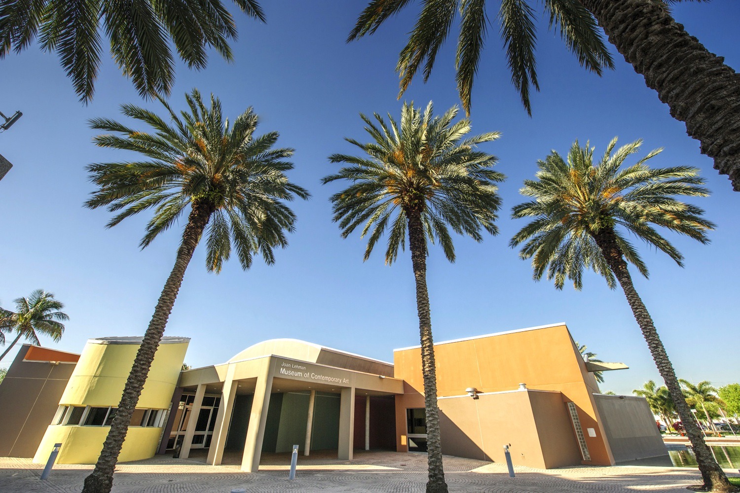 13 Best Museums in Miami for Fine Art, Antiques and Sculpture