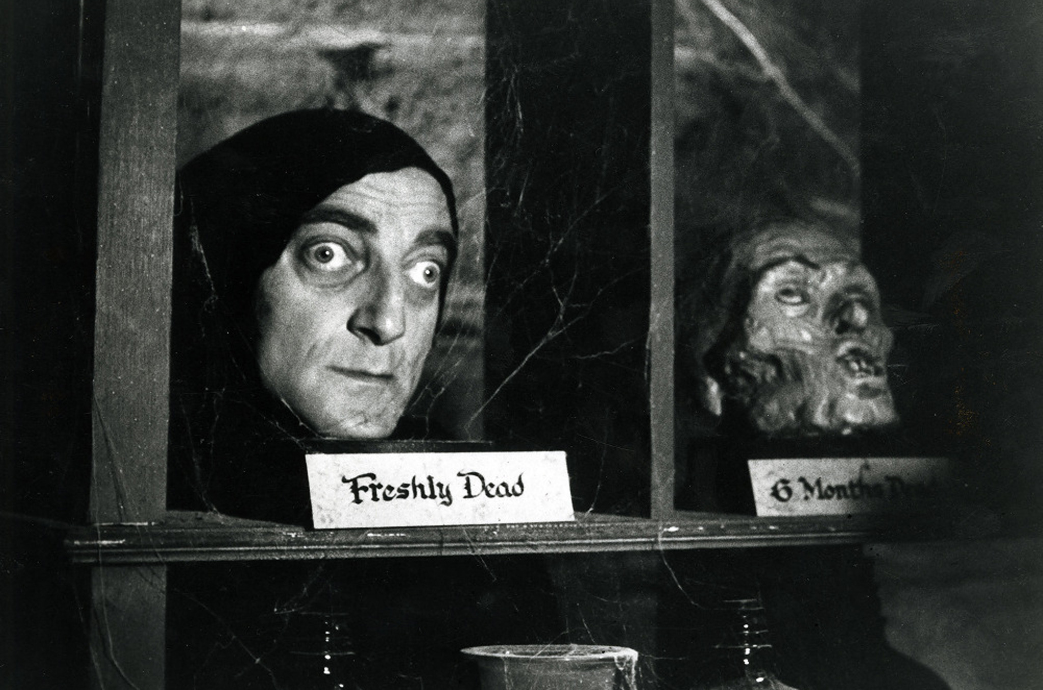 Young Frankenstein (1974)
