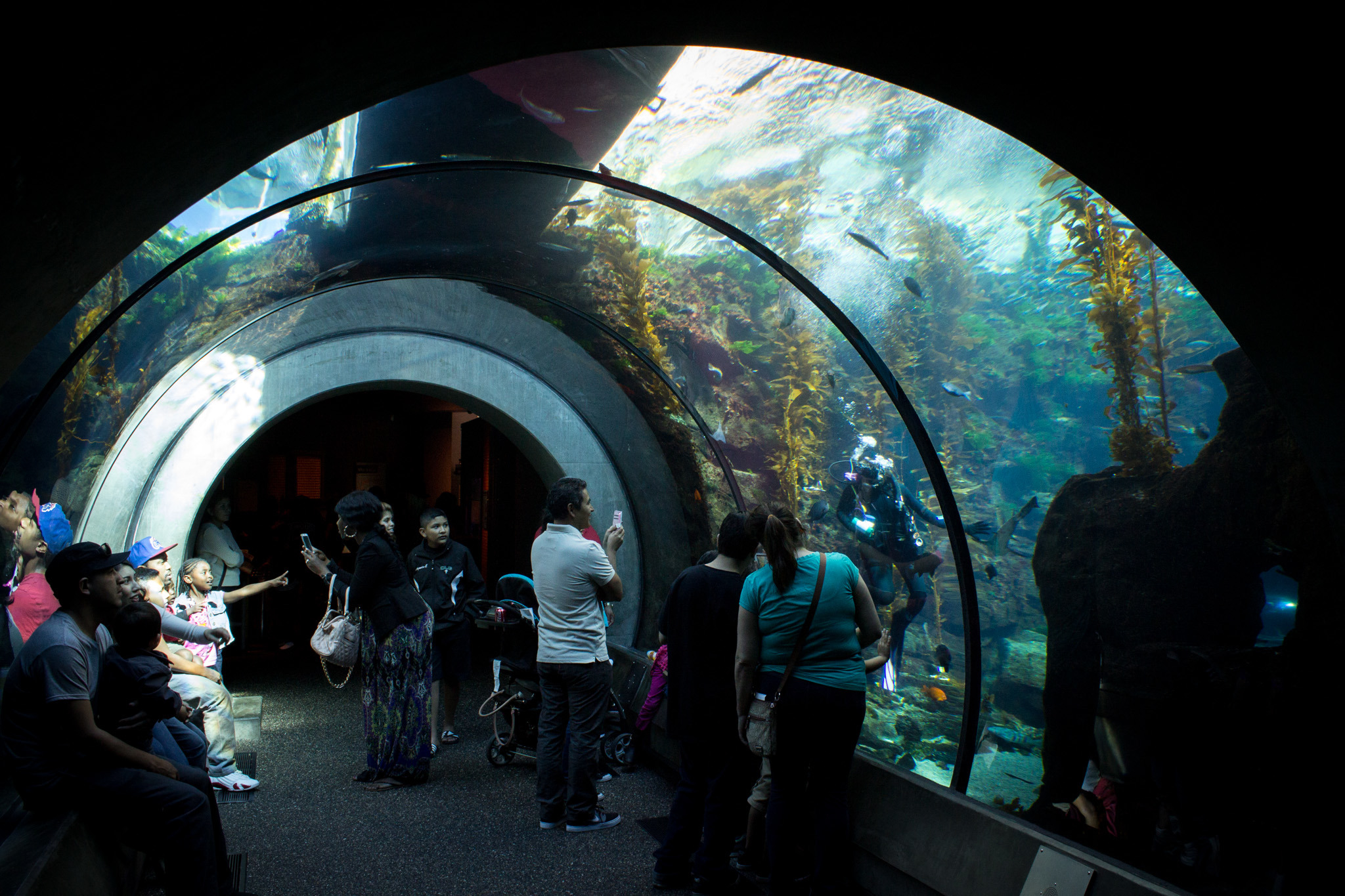 Best Things to Do in the Summer Throughout the Los Angeles Area