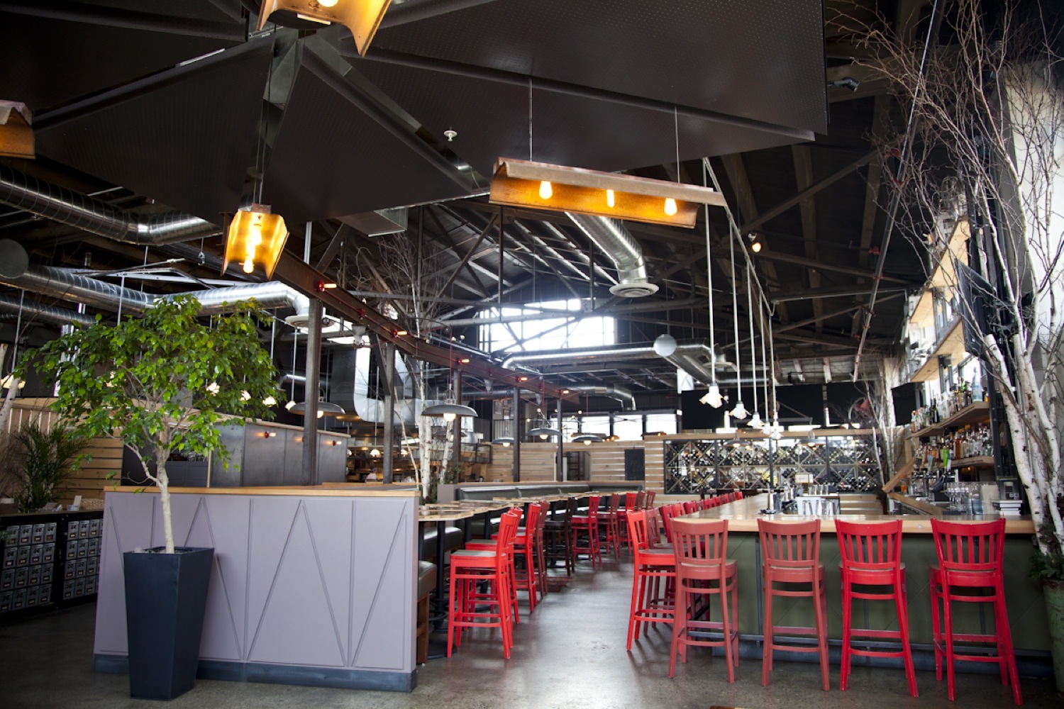 Steel & Rye Bars in Boston