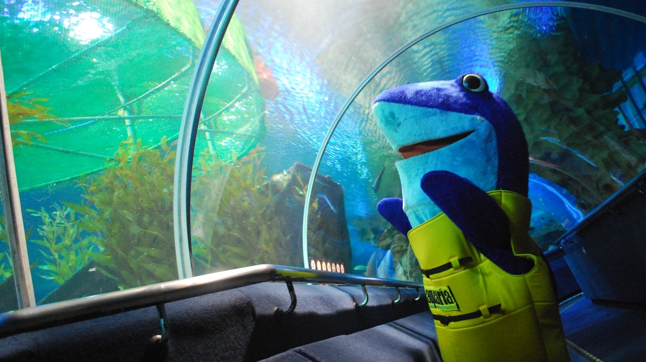 Aquaria KLCC Things to do in KL City Centre, Kuala Lumpur