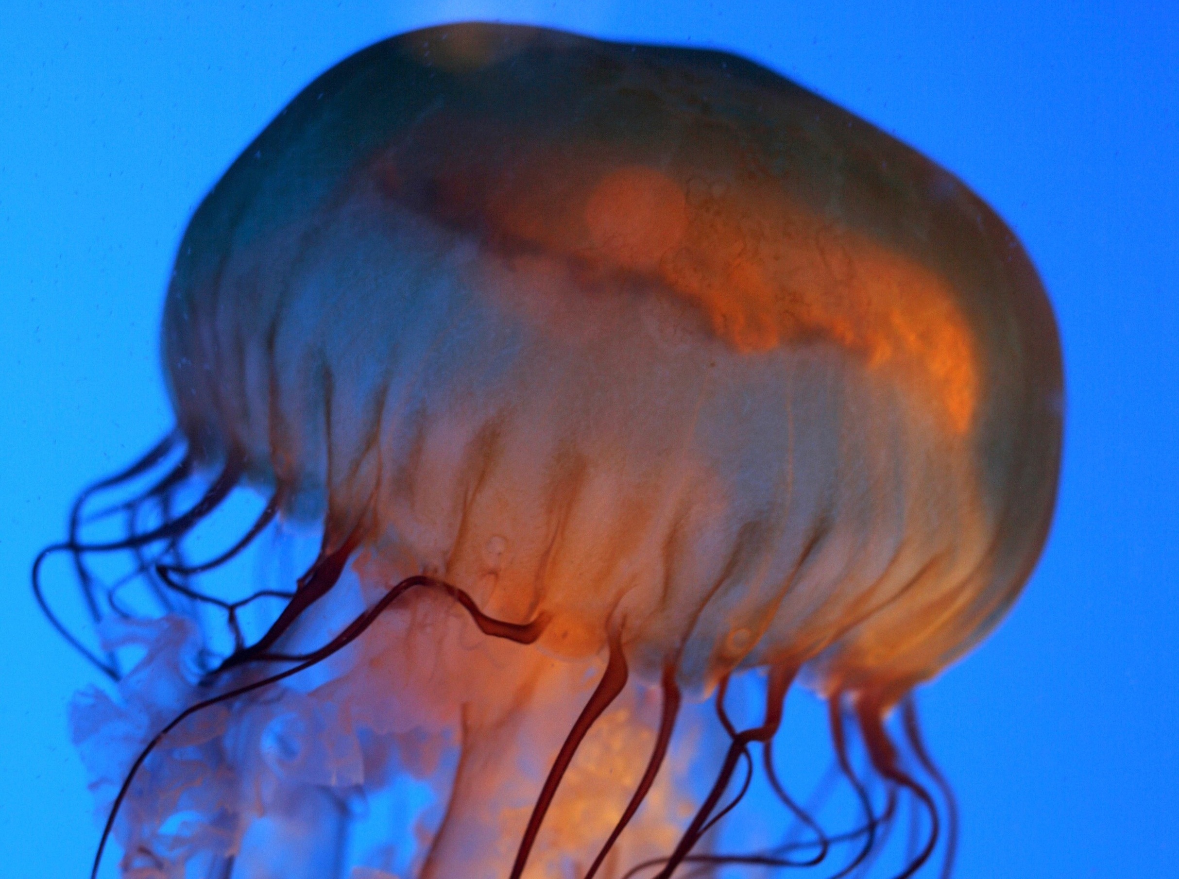 New England Aquarium Attractions in Waterfront, Boston