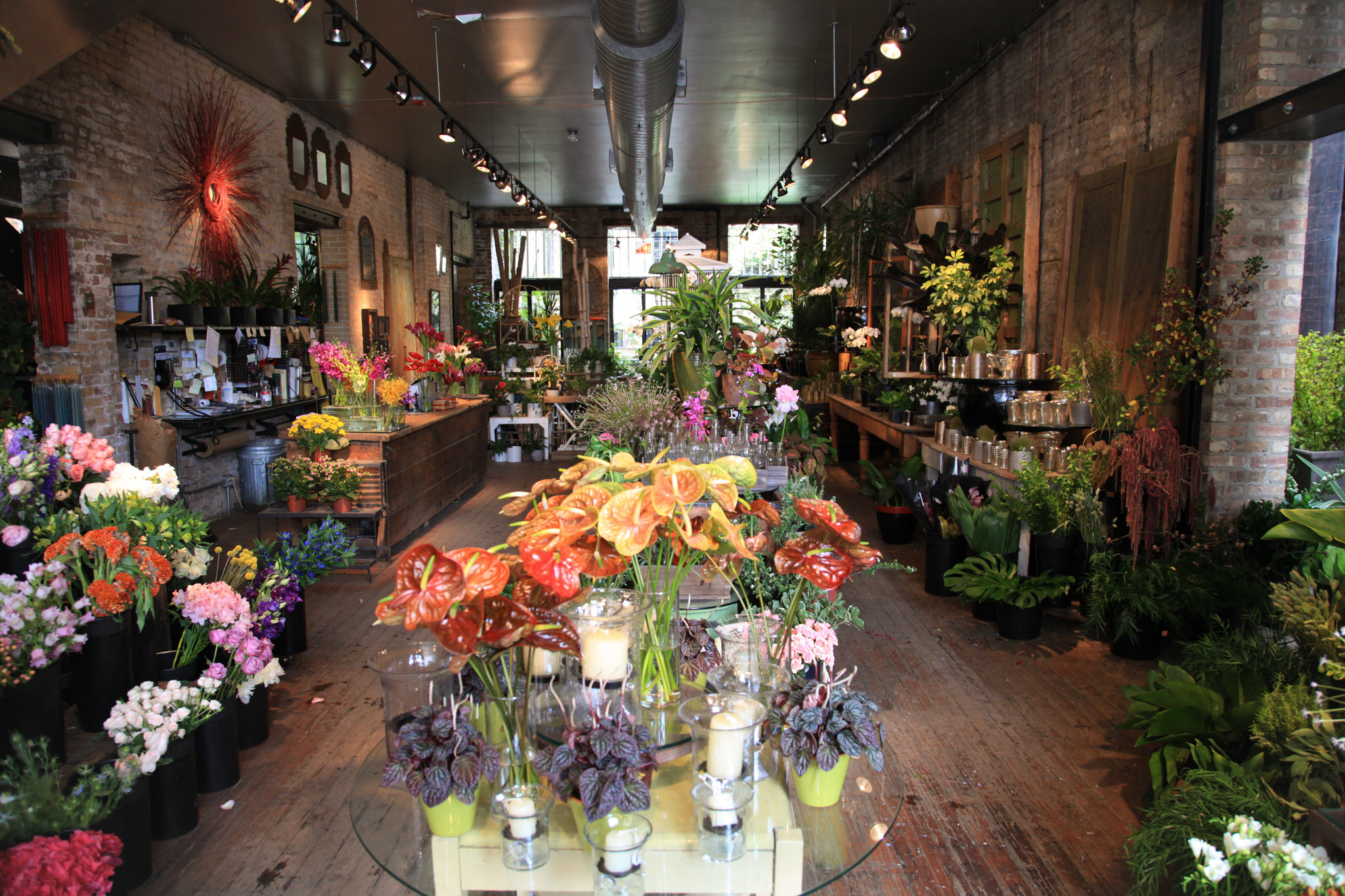 A New Leaf Studio & Garden