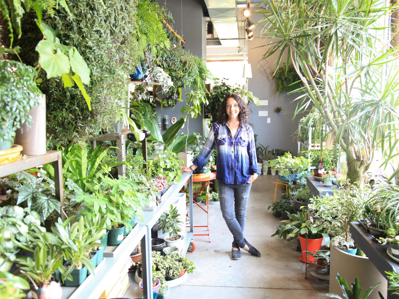 14 Chicago Plant Stores For Finding Home Greenery