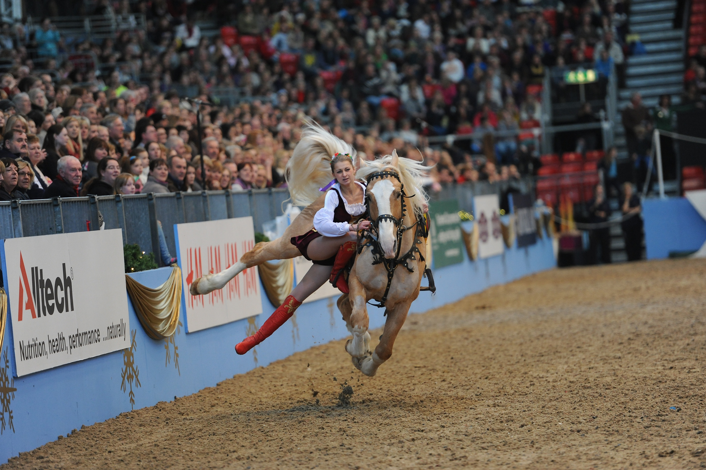 Olympia Horse Show Things to do in London