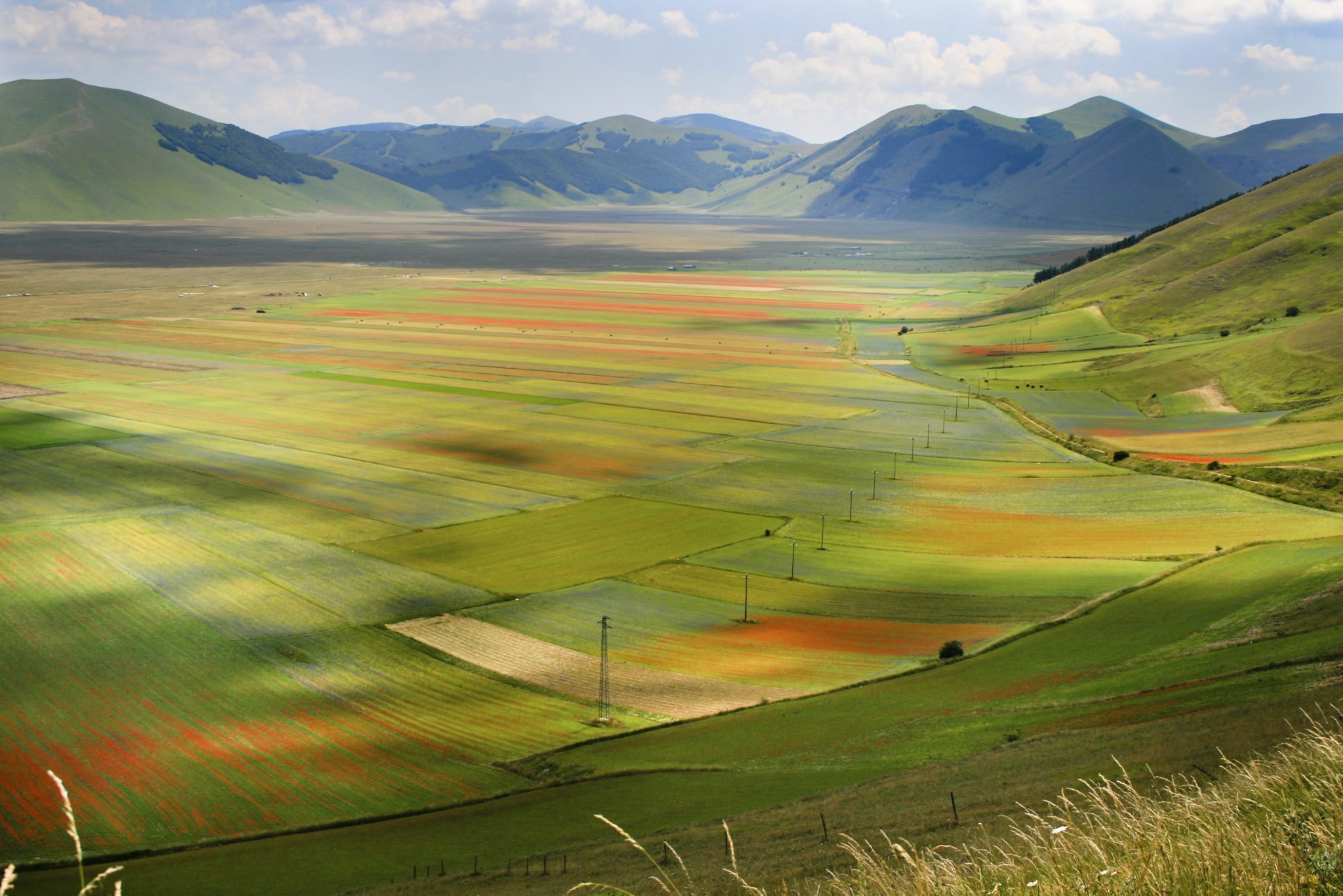 London Photo Festival Things to do in London