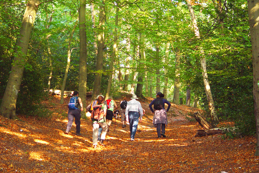 Walking the Capital Ring a 70mile selfguided walk around London