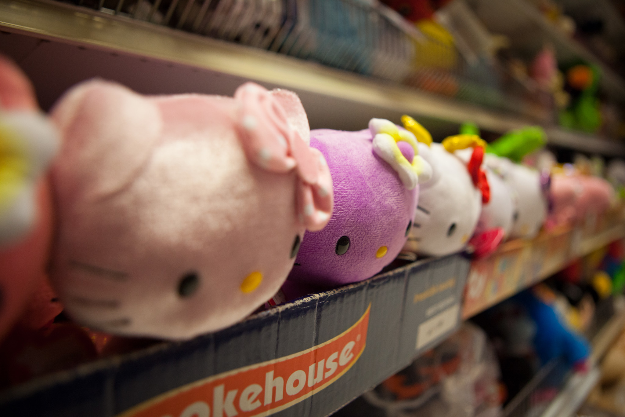 Celebrate the Chinese New Year in Chicago 2020