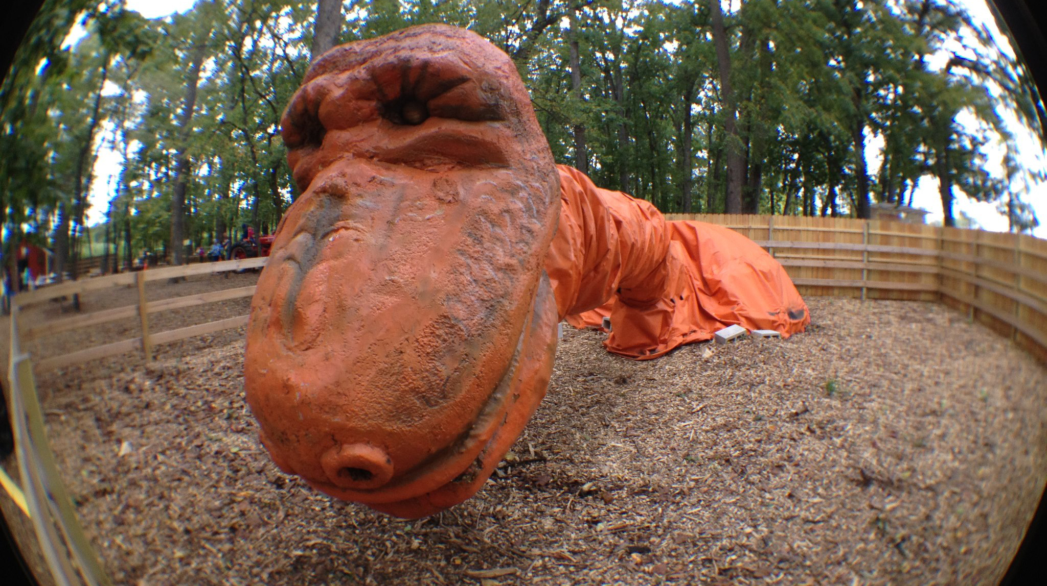 Best Pumpkin Patches Near Chicago to Plan An Outing to in 2020