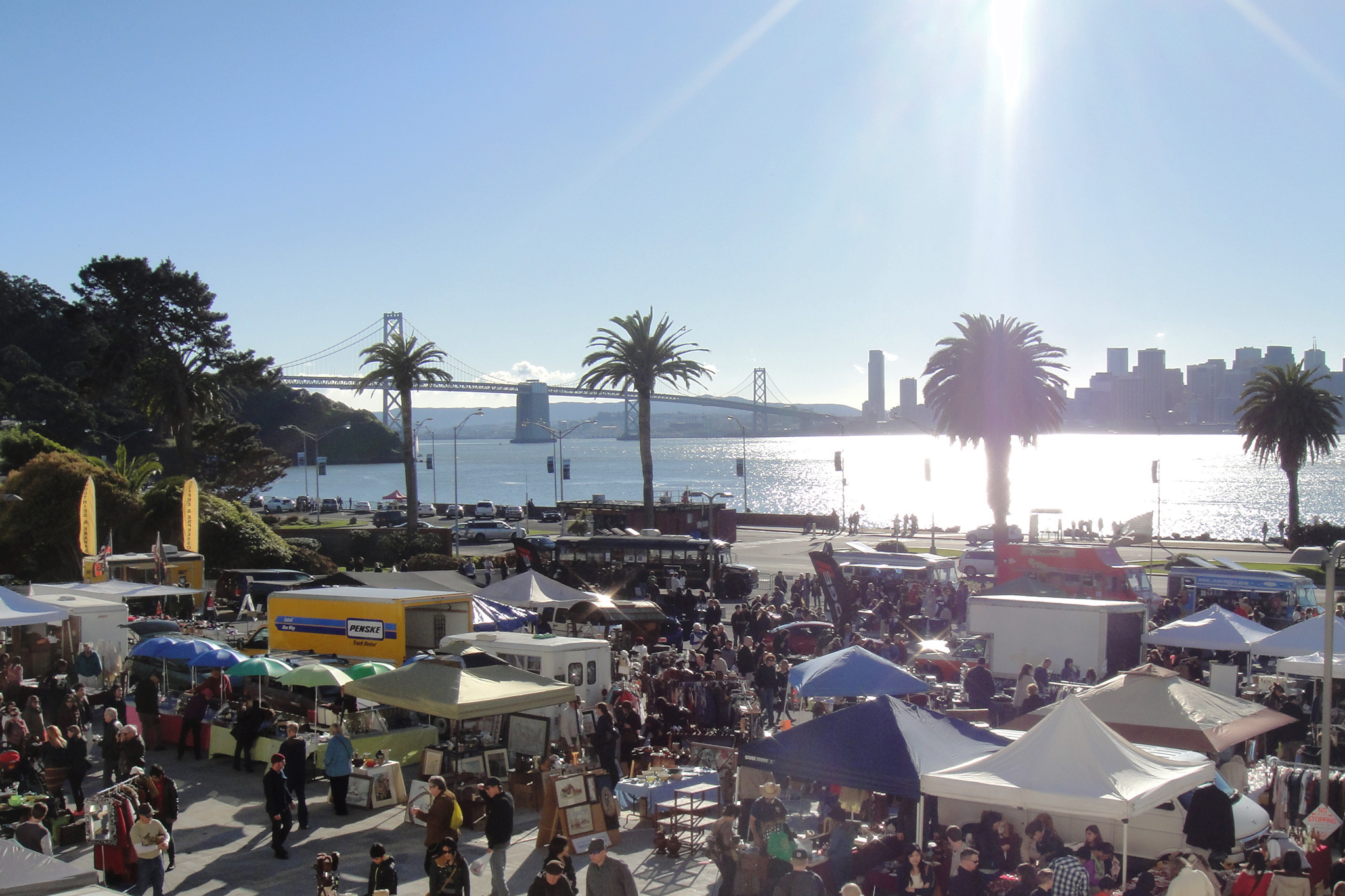 Are Dogs Allowed At Treasure Island Flea Market