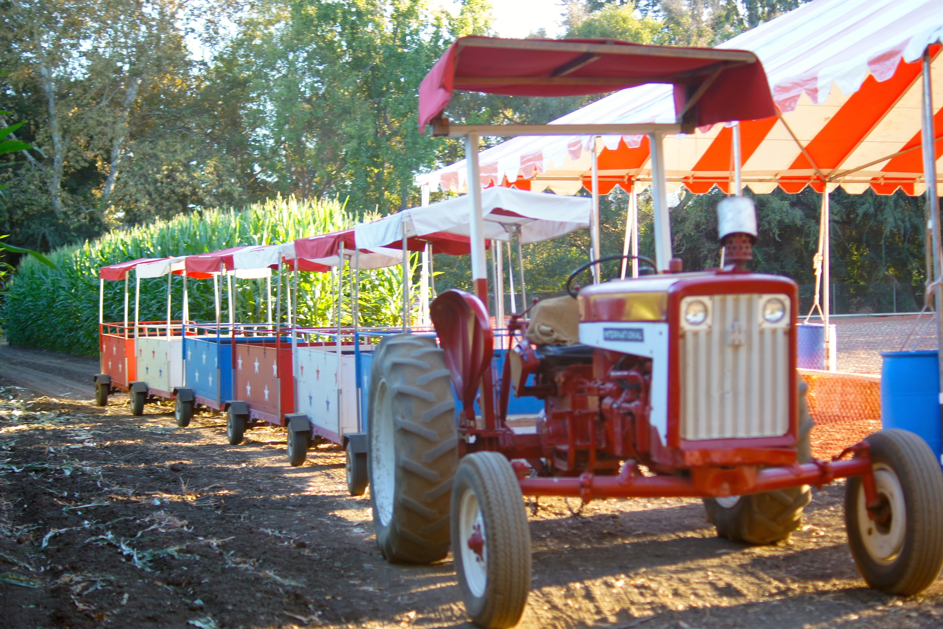 The best pumpkin patches in Los Angeles