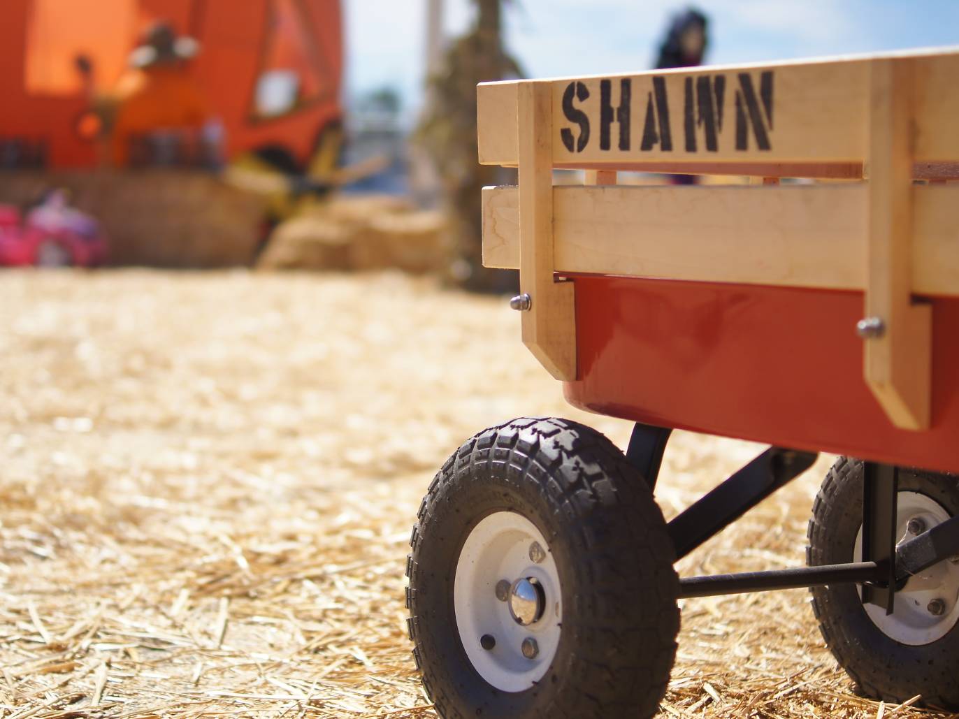 Best Pumpkin Patches in Los Angeles for Halloween Fun