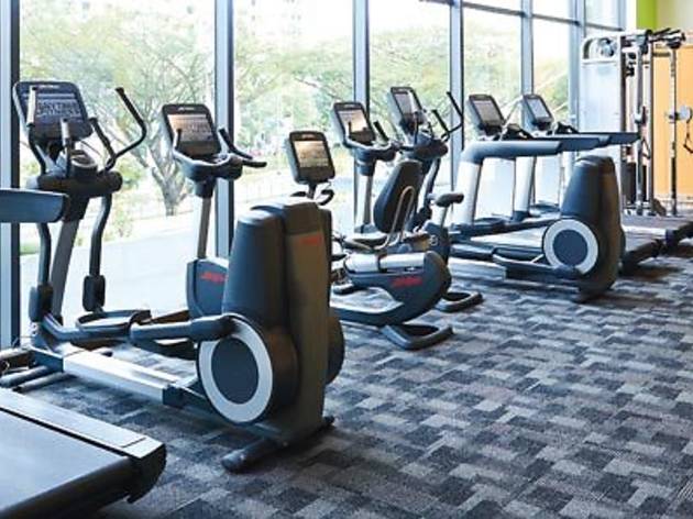 Anytime Fitness Lake Of The Ozarks Fitness Walls