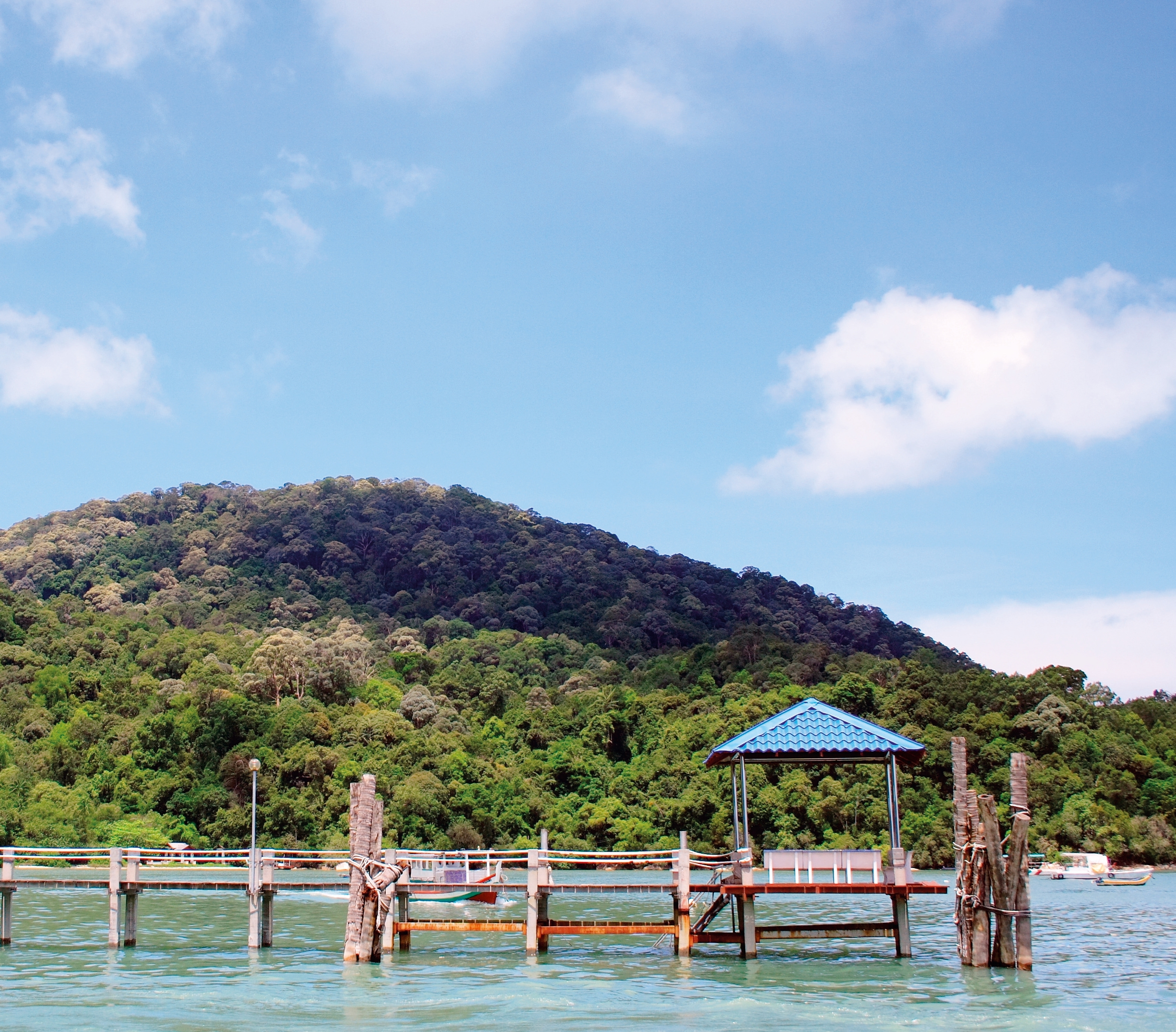 The smallest national park in the world Penang National Park