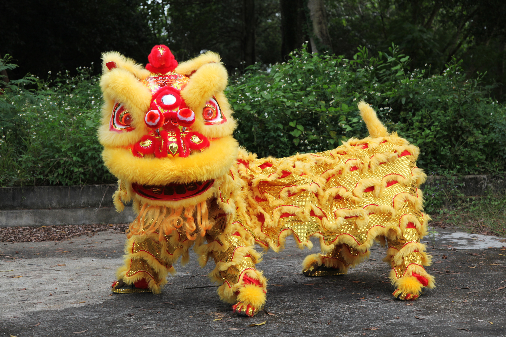 Past and future Chinese lion dance in Penang