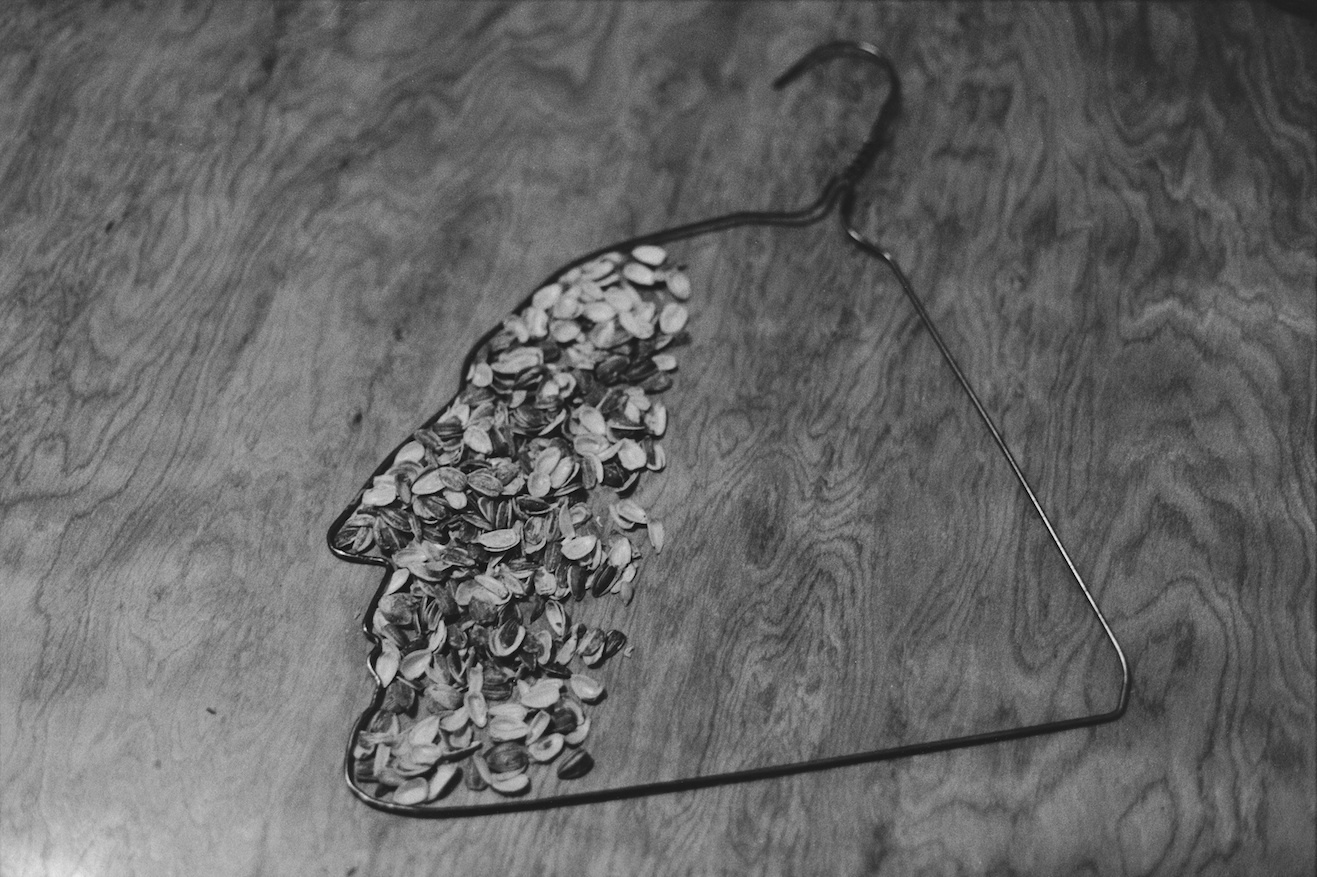 Sunflower Seeds Ai Weiwei Meaning