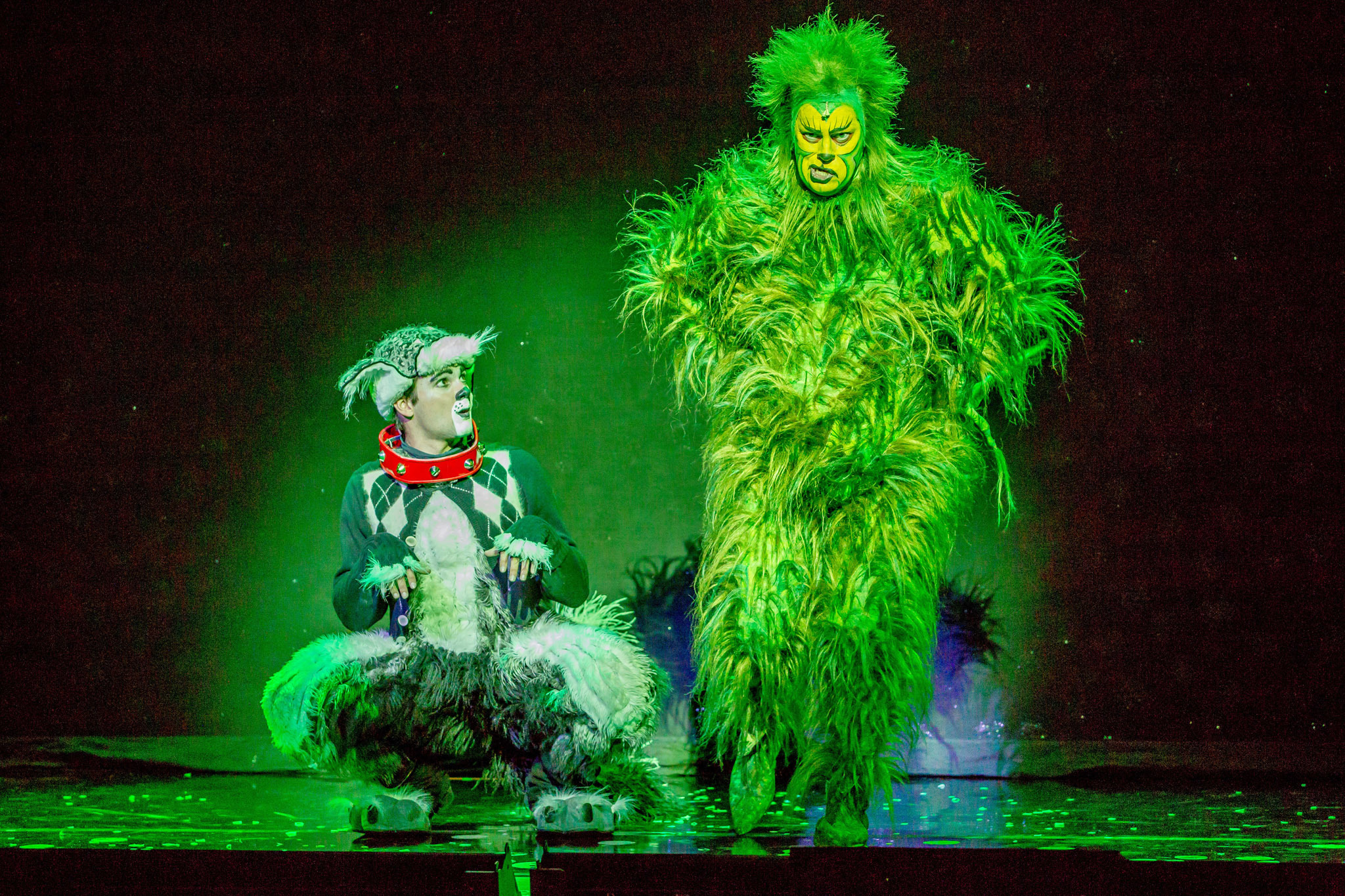 Dr. Seuss' How the Grinch Stole Christmas! The Musical Theater in Chicago