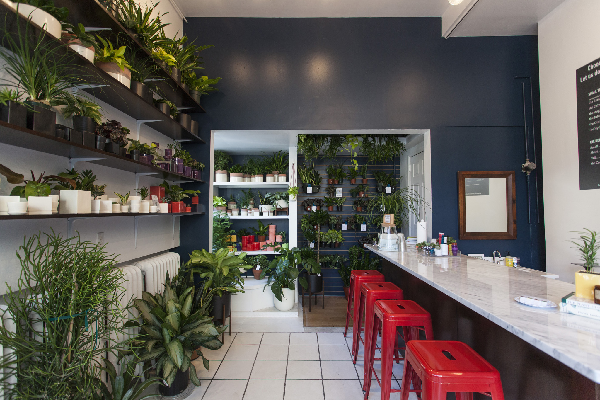 The Sill Shopping in Lower East Side, New York