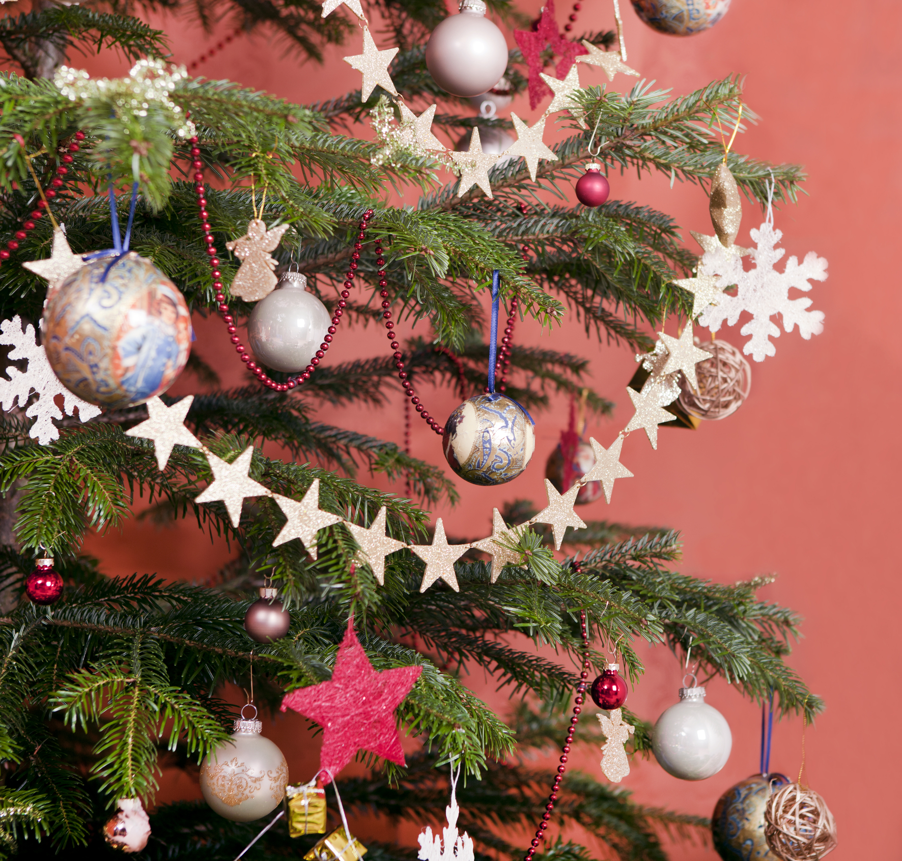 Where to buy Christmas trees in KL