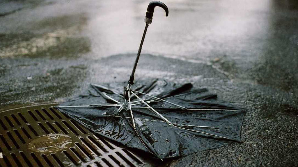Meet the broken umbrellas of New York