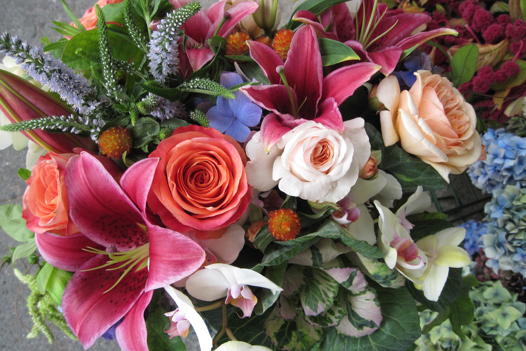 Flower shop guide to San Francisco for any occasion