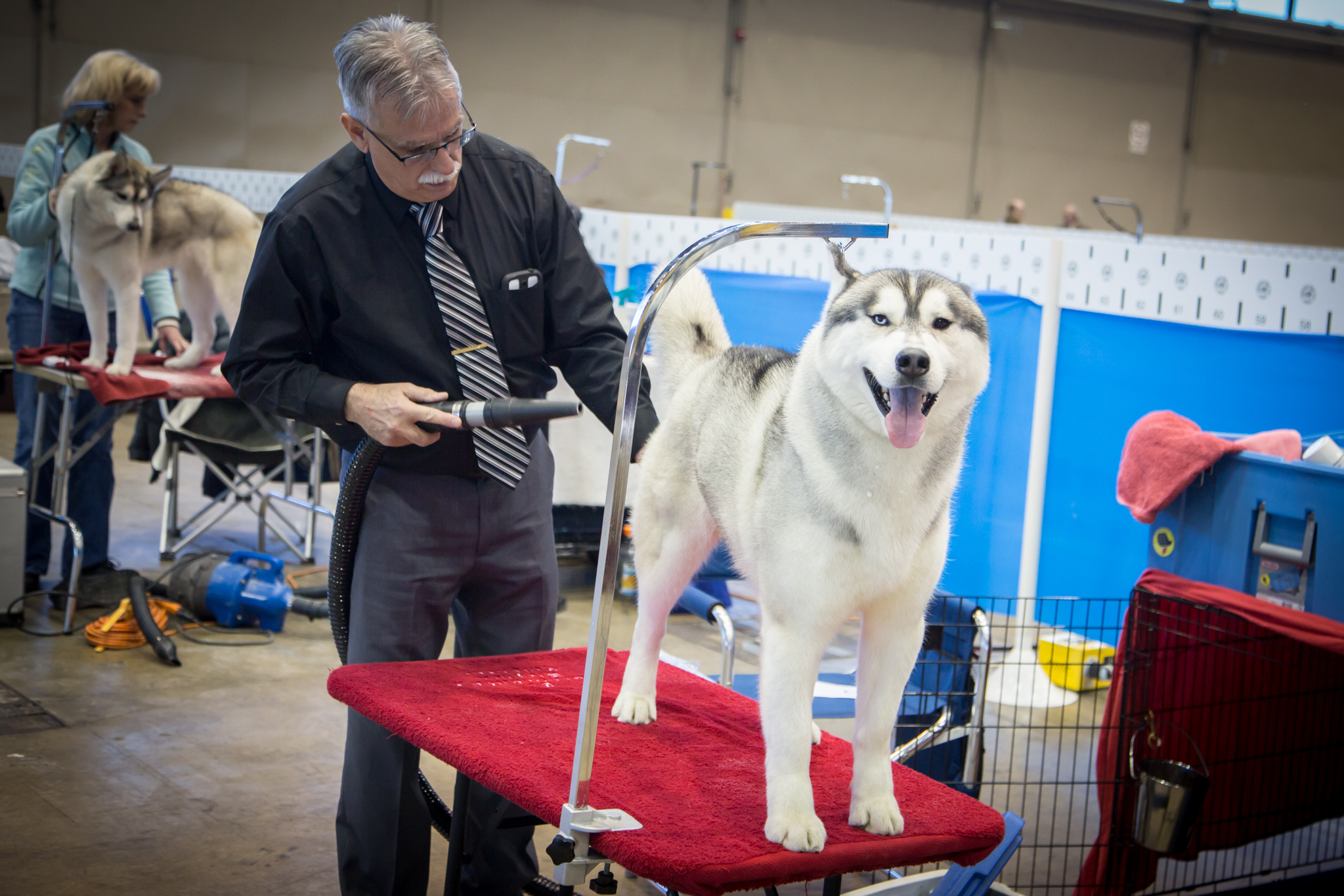 Photos from the International Kennel Club Dog Show at