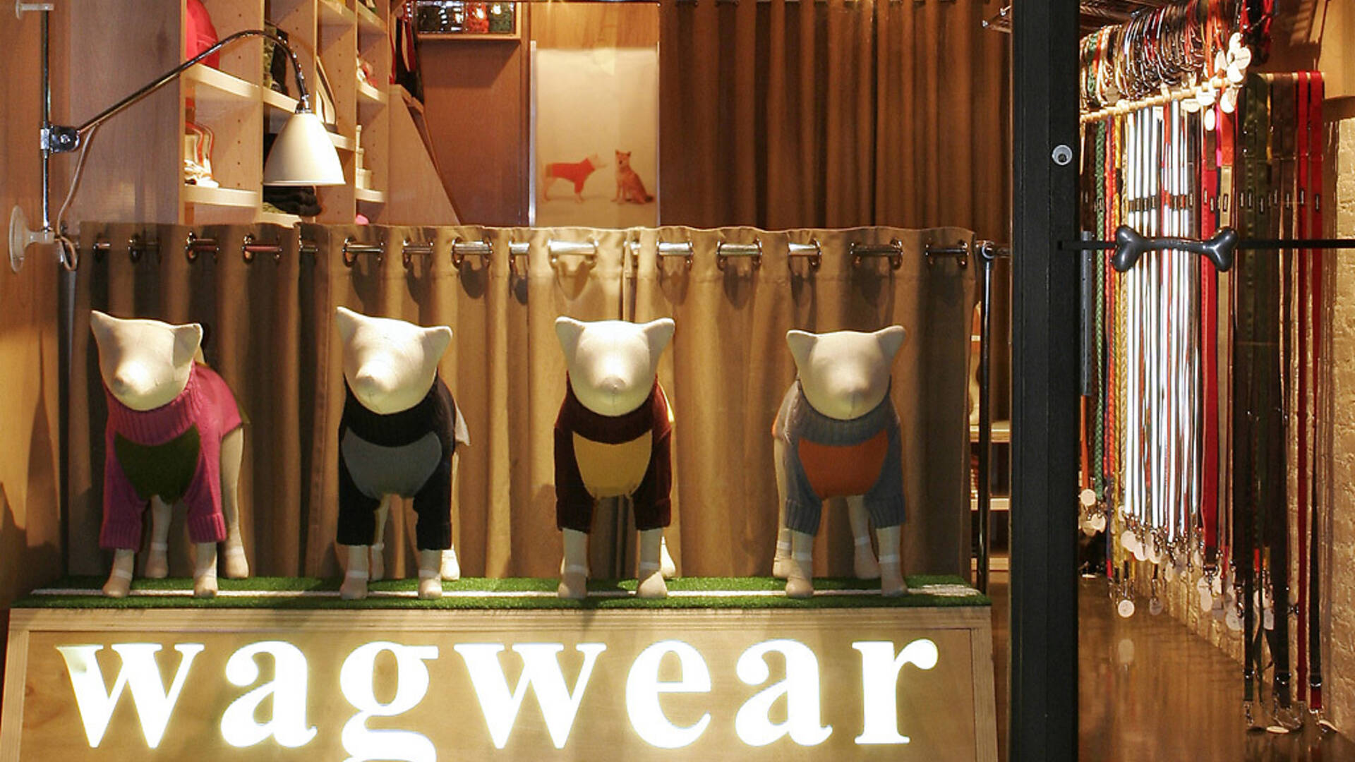 Find a great pet store in New York City