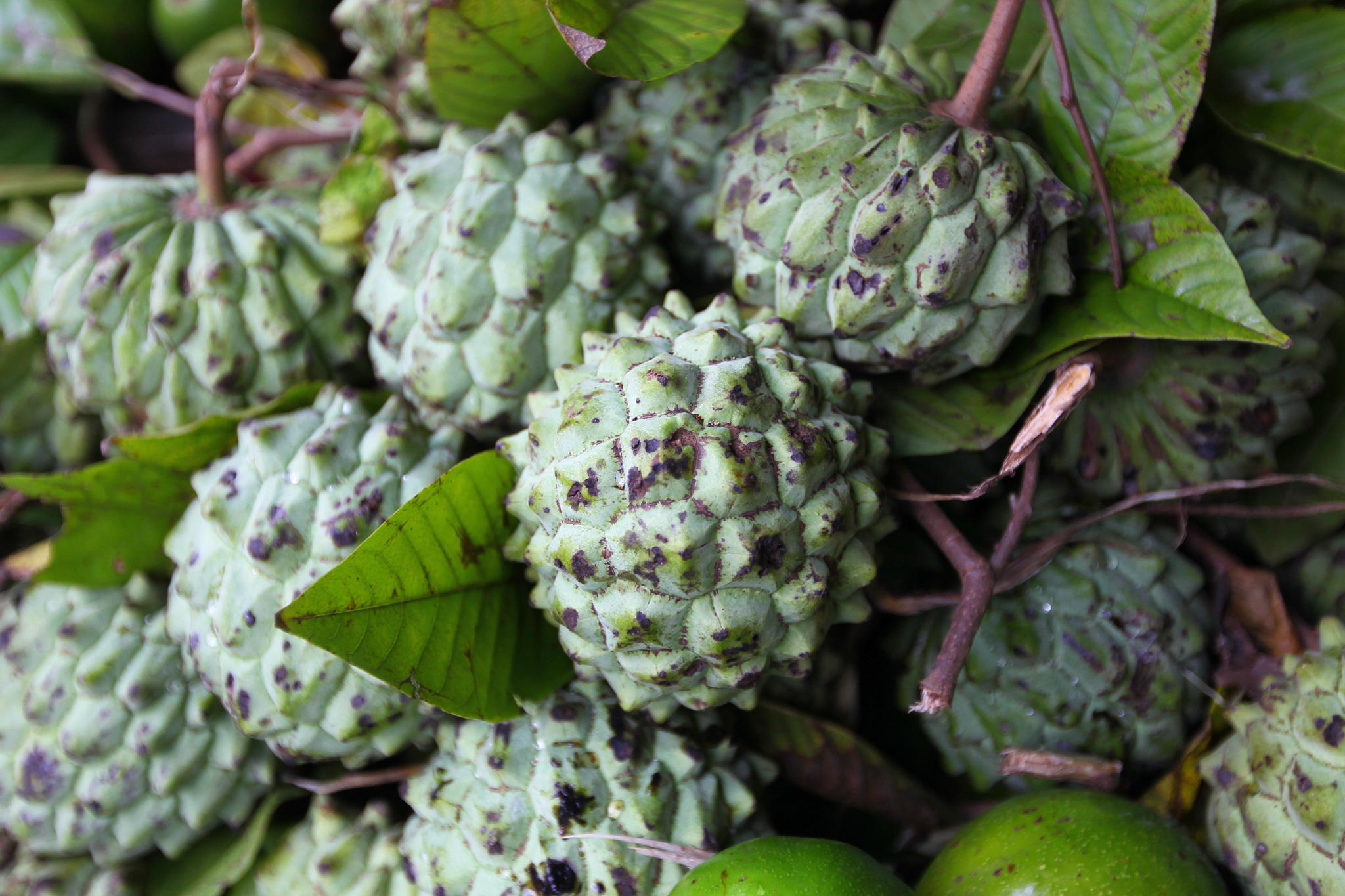 Only in Sri Lanka Quirky delights for fruit lovers