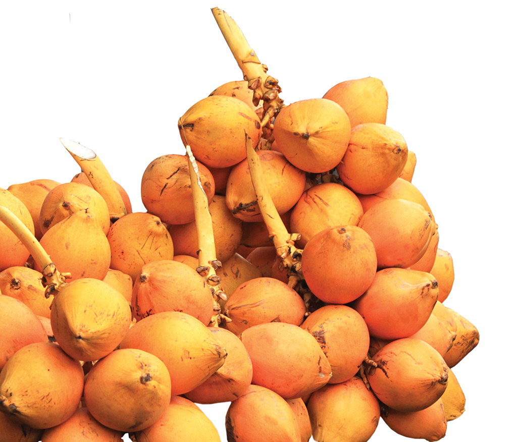 Only in Sri Lanka Quirky delights for fruit lovers