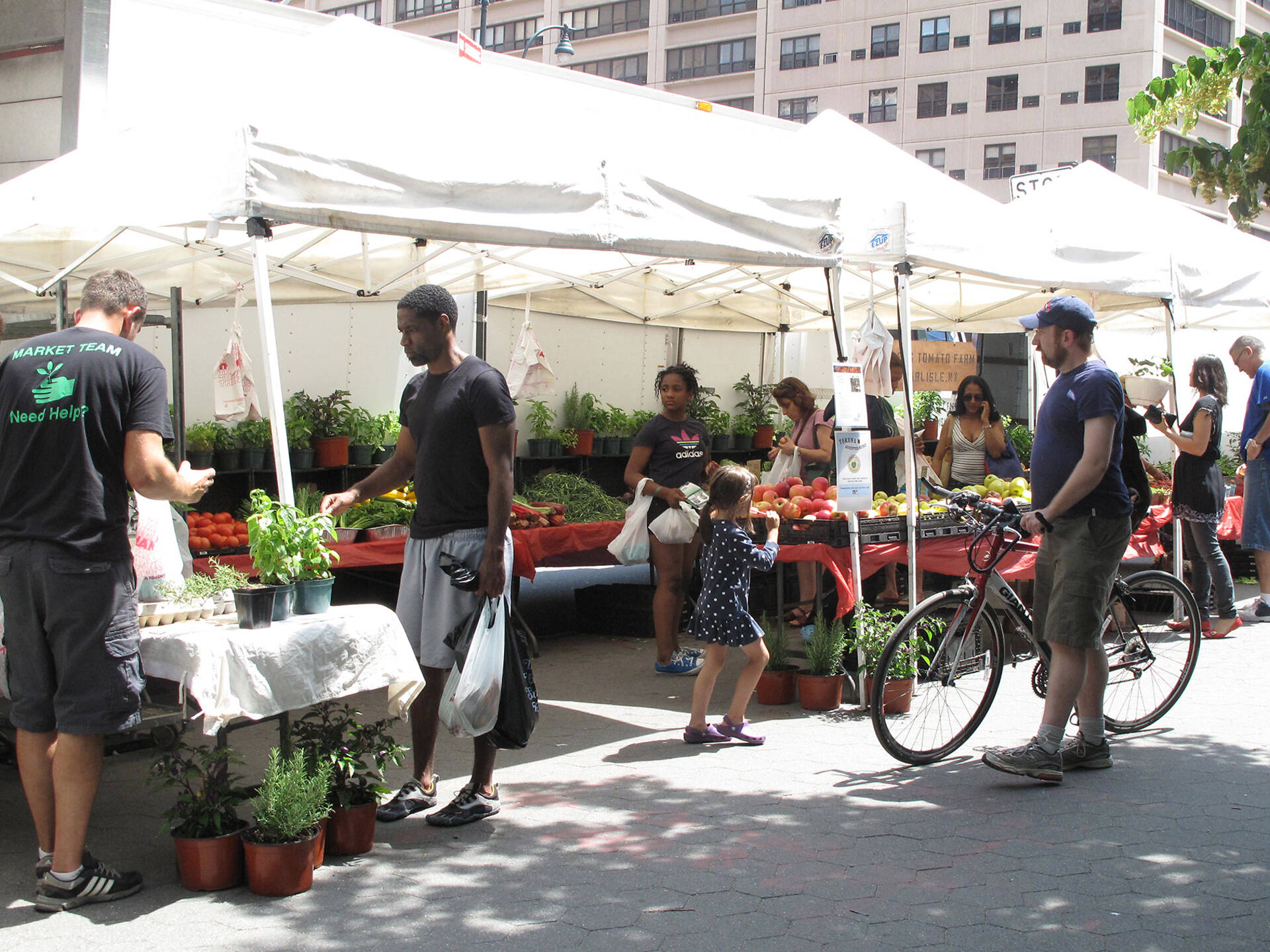 13 Amazing Farmers’ Markets NYC Offers For Fresh Produce