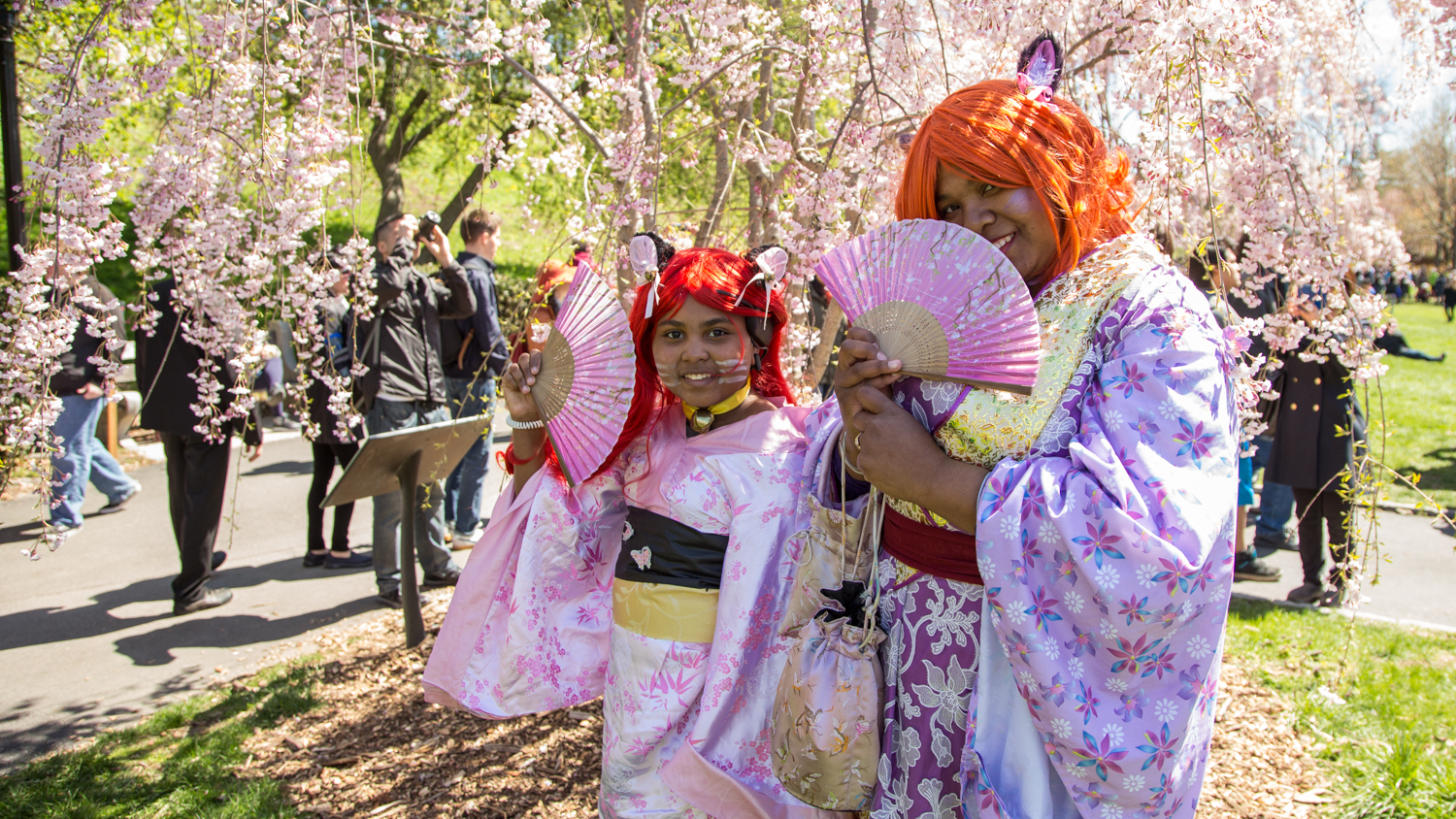 matsuri festival 2023 nyc Sakura Matsuri Cherry Blossom Festival in NYC