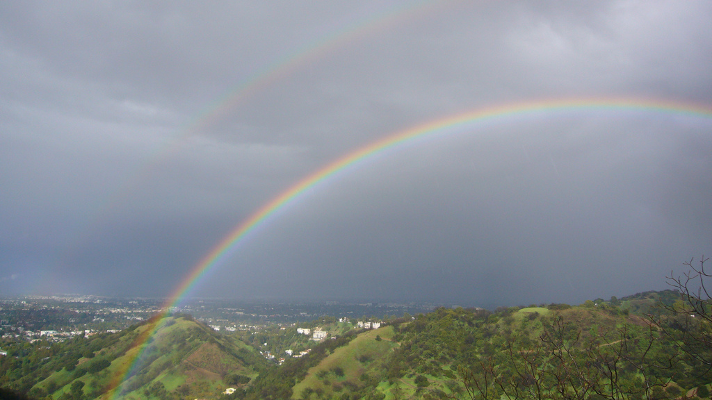 Best Things to Do on a Rainy Day in Los Angeles