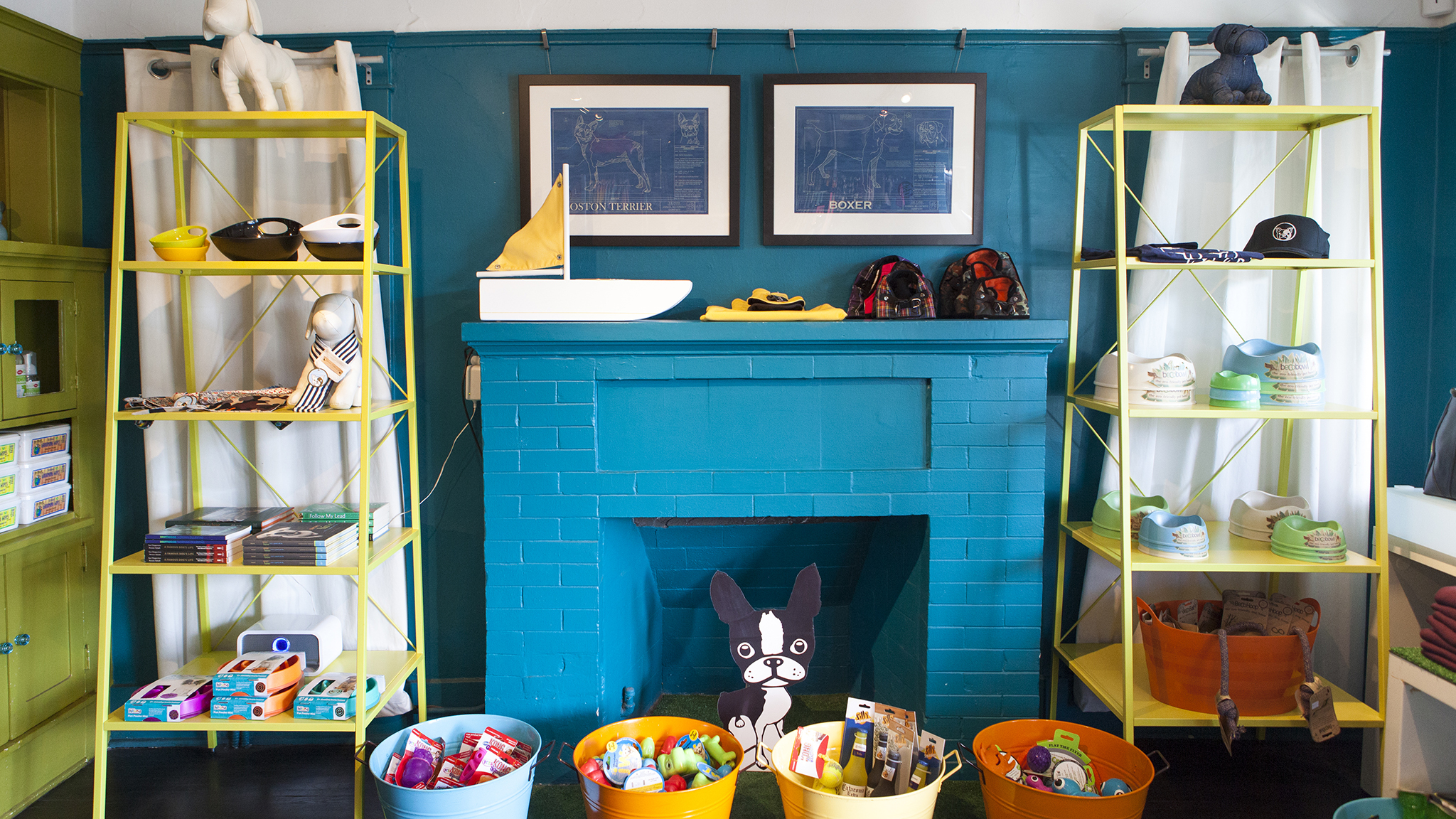 LA's best pet store options