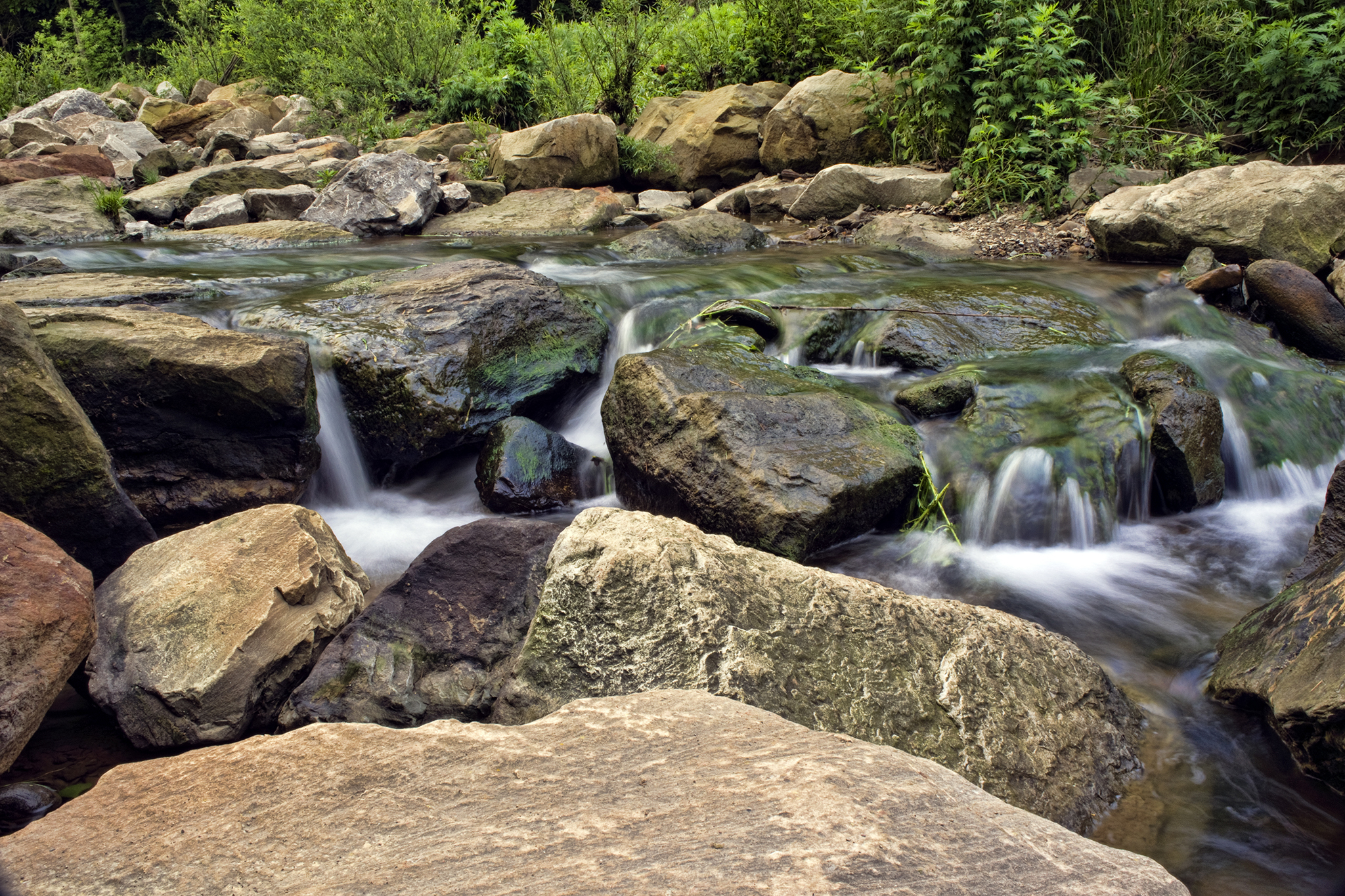 Best things to do in Pittsburgh including Phipps Conservatory