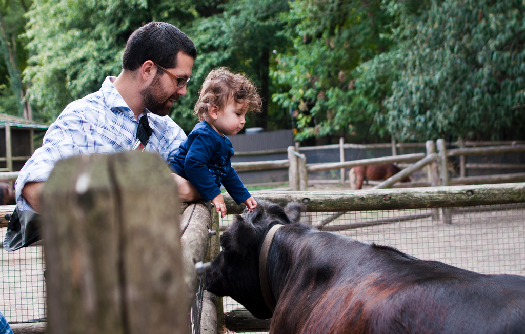 Best Petting Zoos and Animal Farms Near New York City