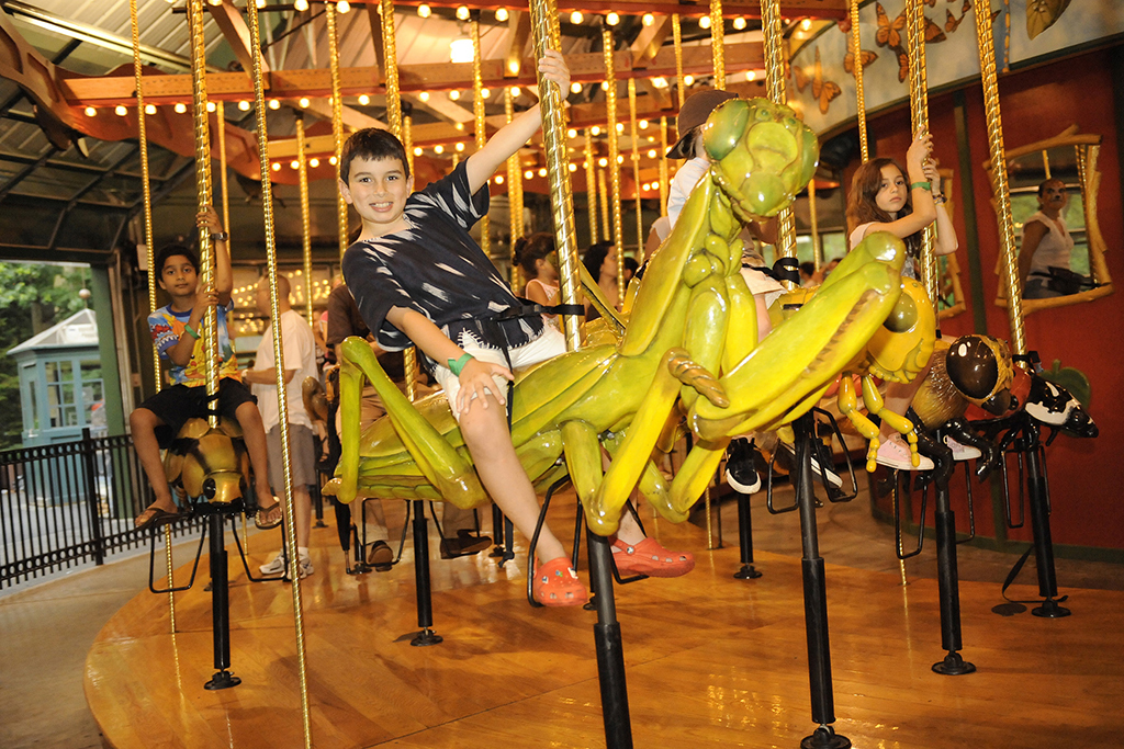 Best carousels for kids and families in New York City