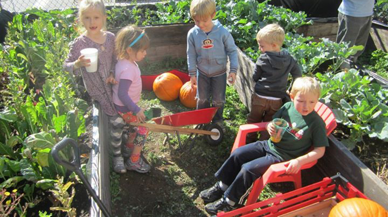 Best Kids' Gardening Spots Including Children's Gardens