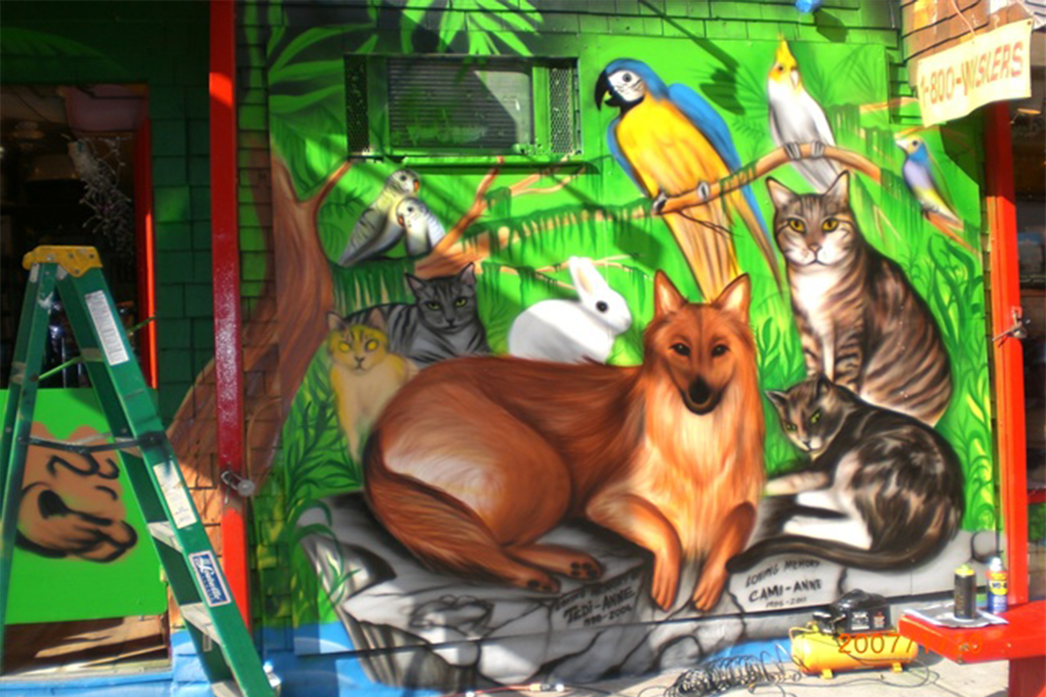 The best pet supply stores in NYC