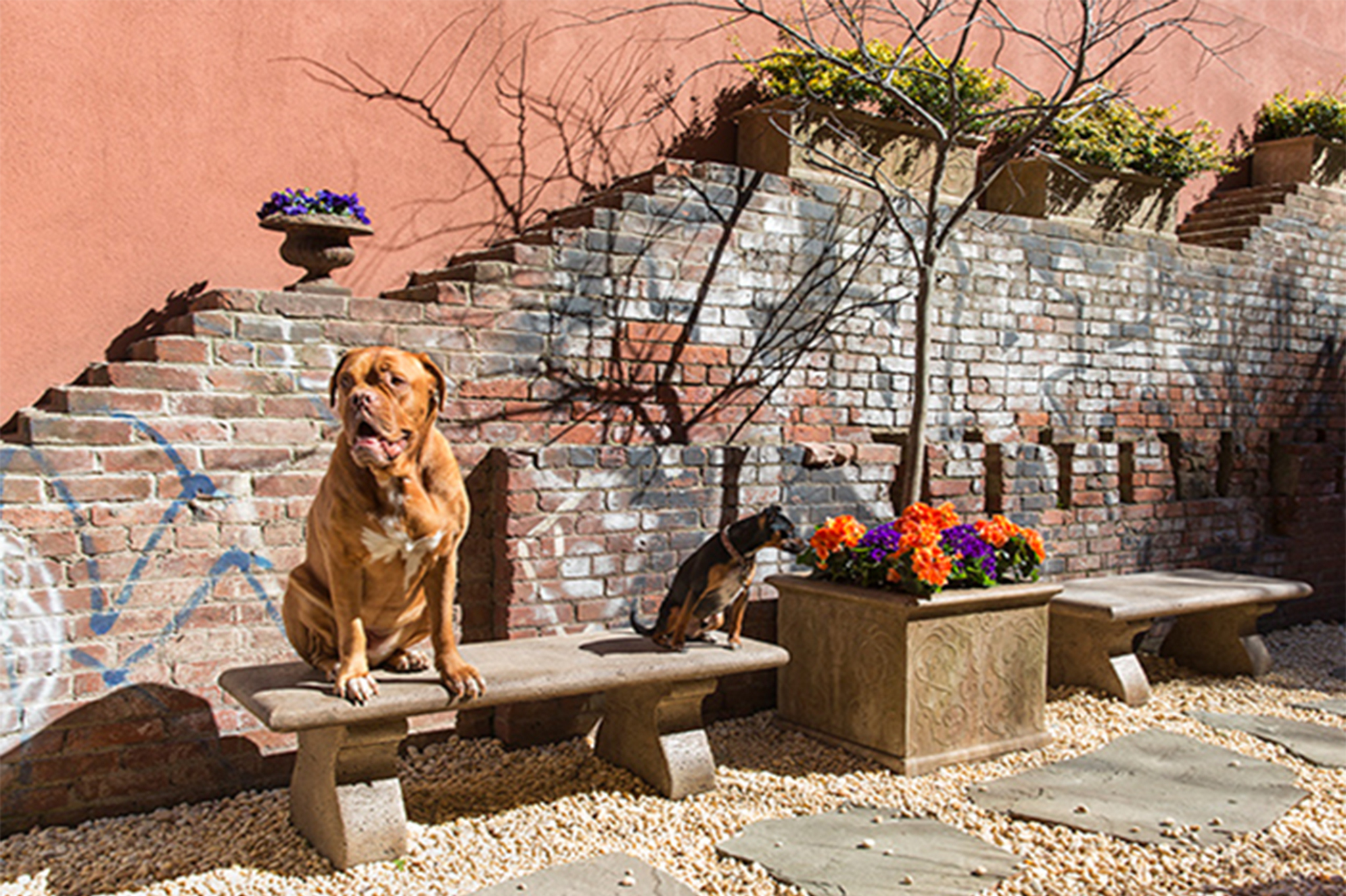 Hotels in New York for Families Time Out New York Kids