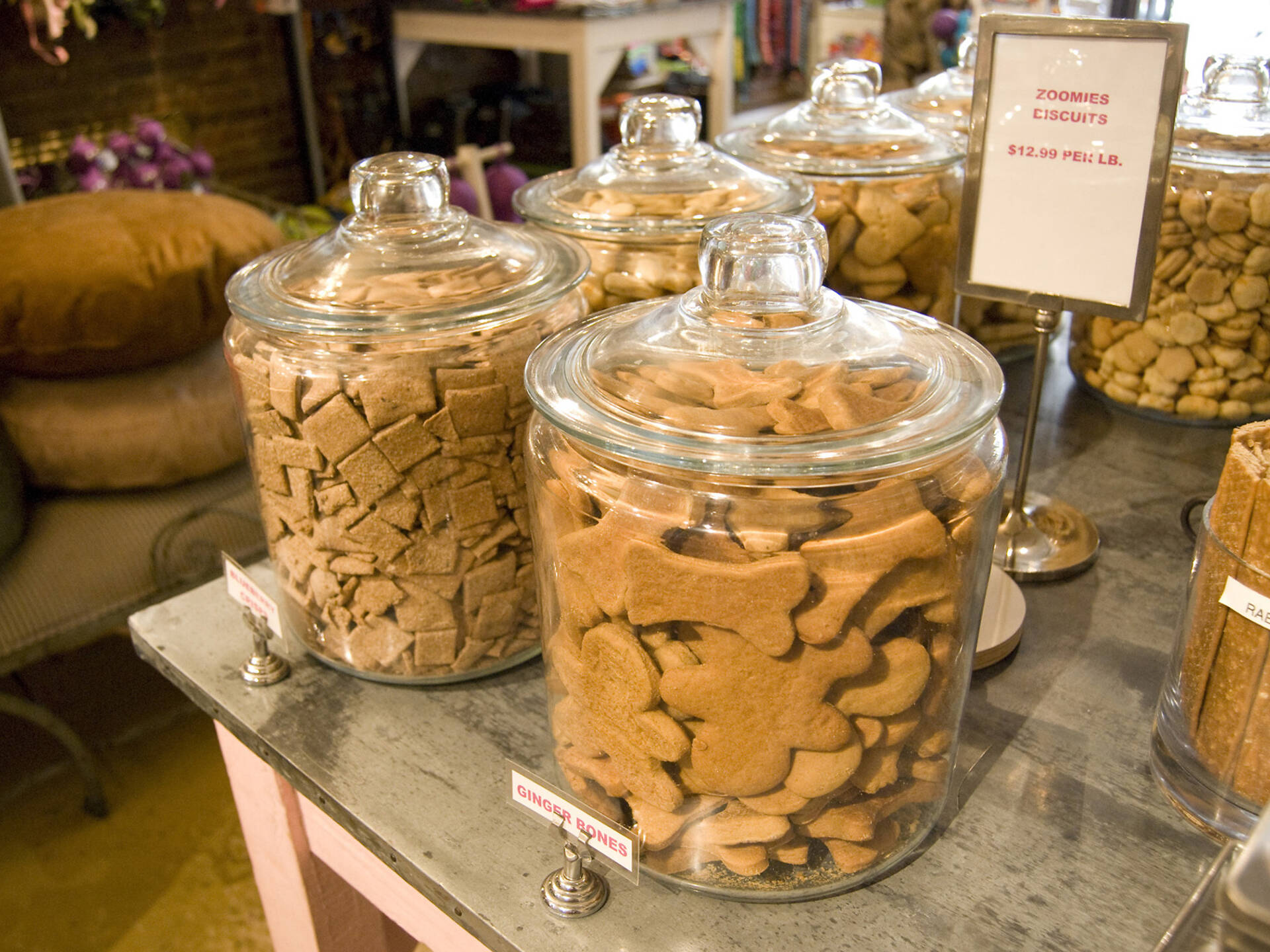 The best pet supply stores in NYC