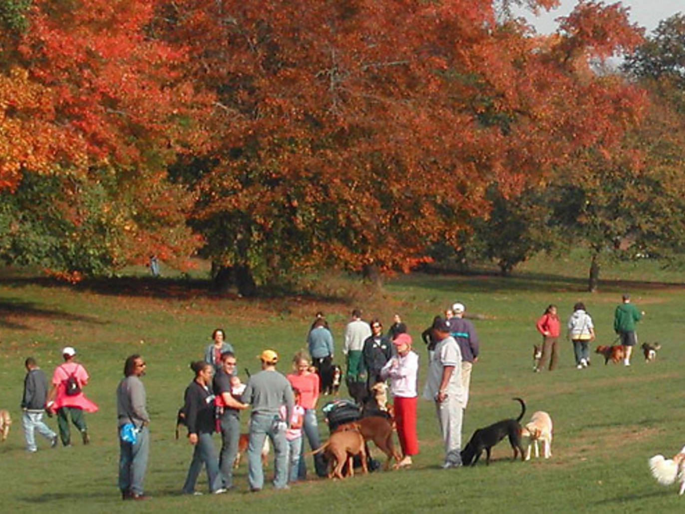 11 Best Picnic Spots in NYC for Families