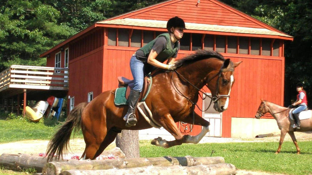 SJ Riding Camp Things to do in New York Kids