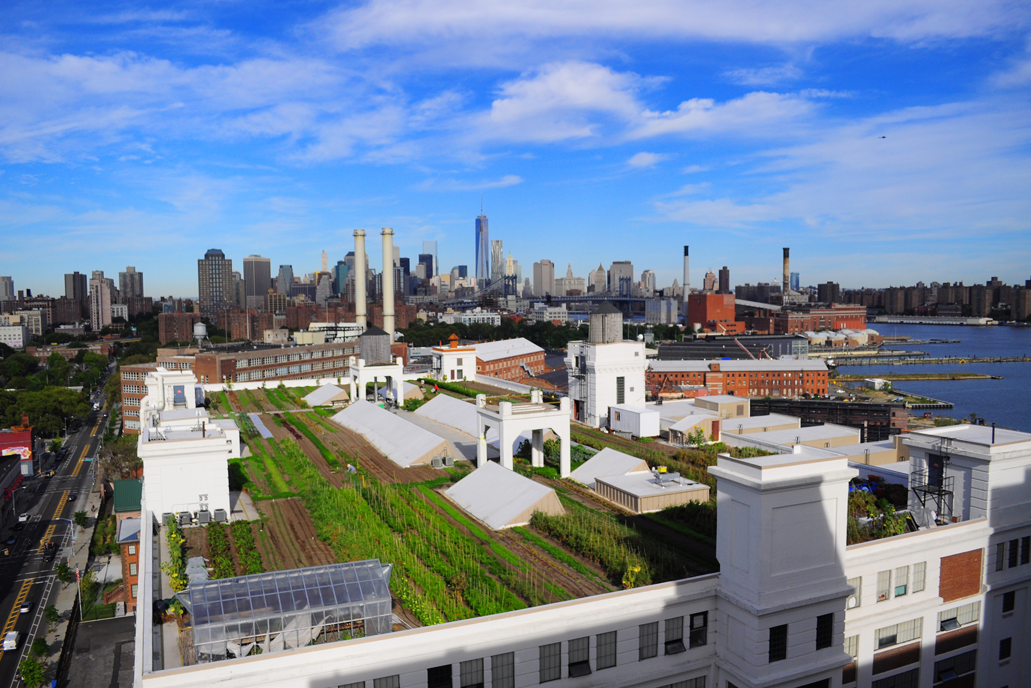 Best rooftop gardens and urban farms in NYC including Gallow Green