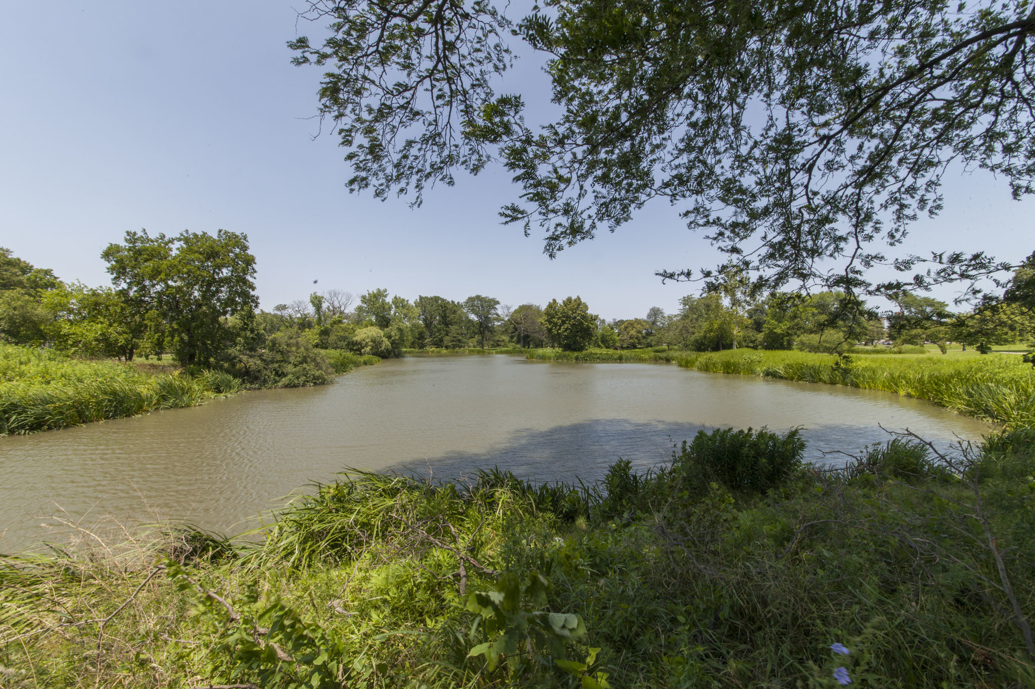 Things to do in Lawndale near Douglas Park